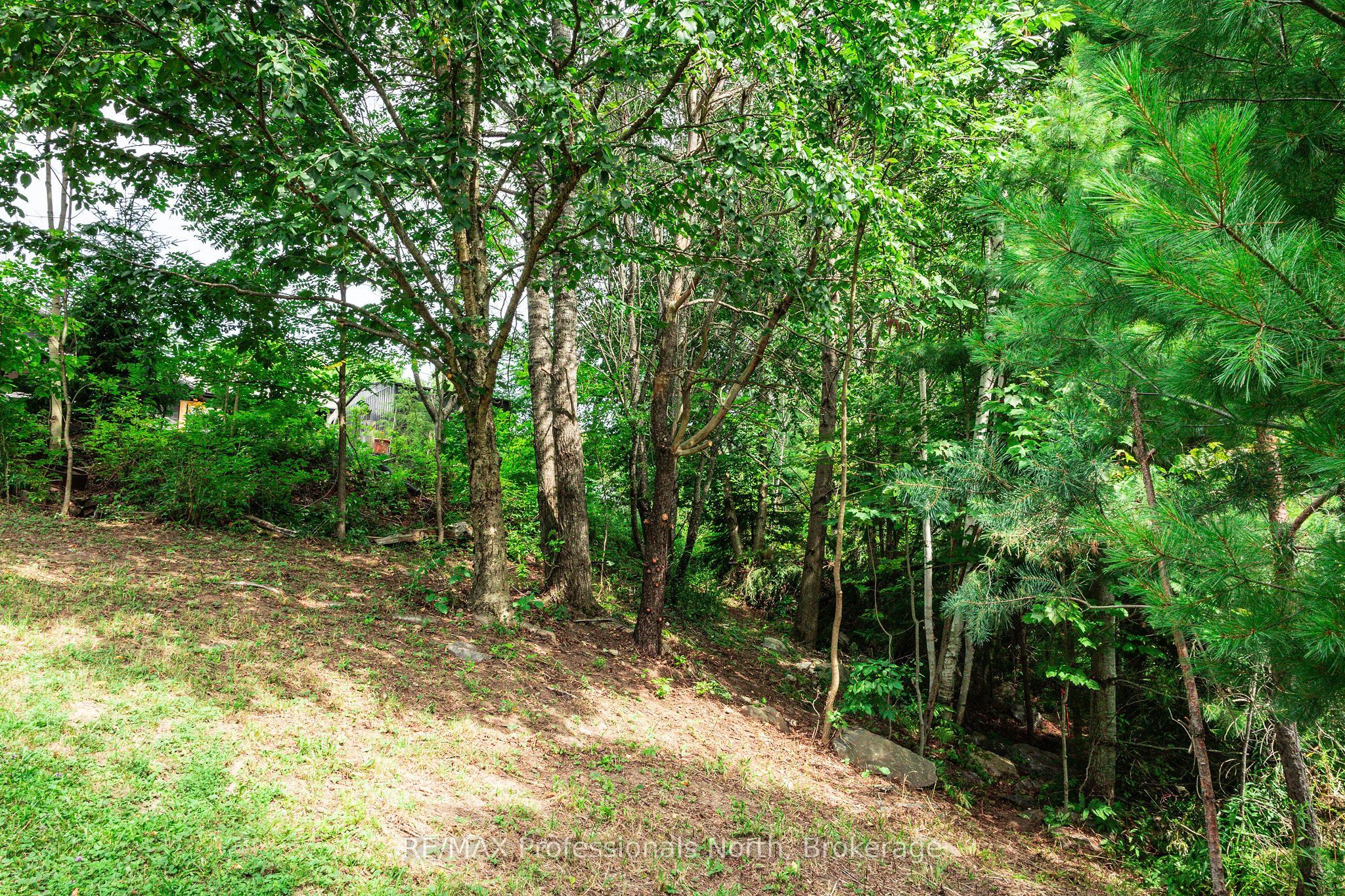 0 Townline Road Property Photo 5