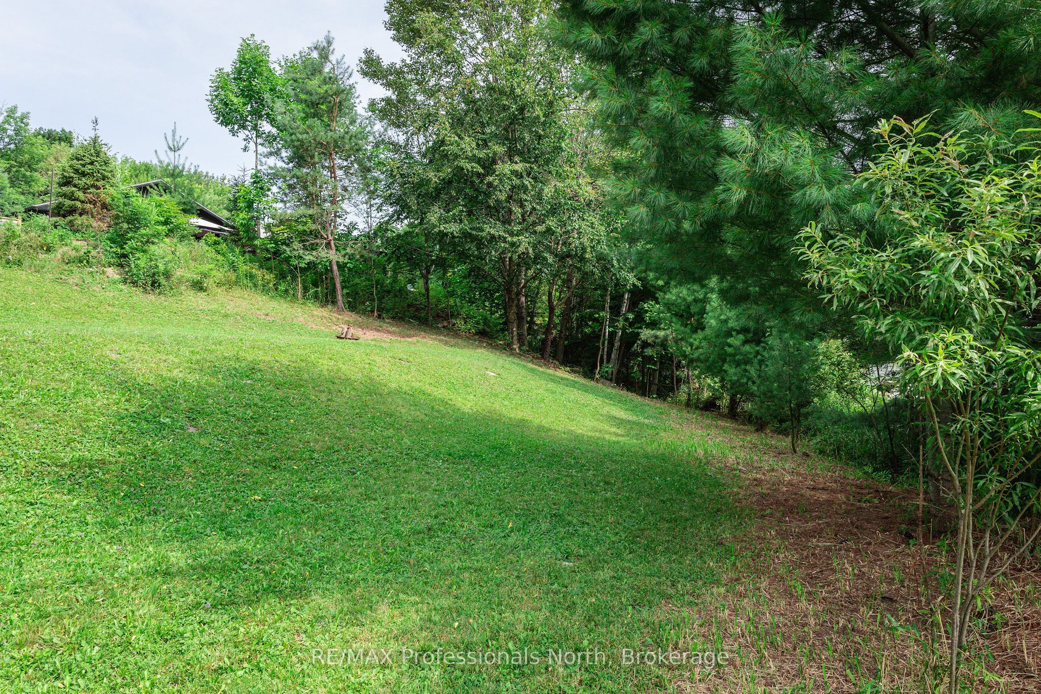 0 Townline Road Property Photo 6