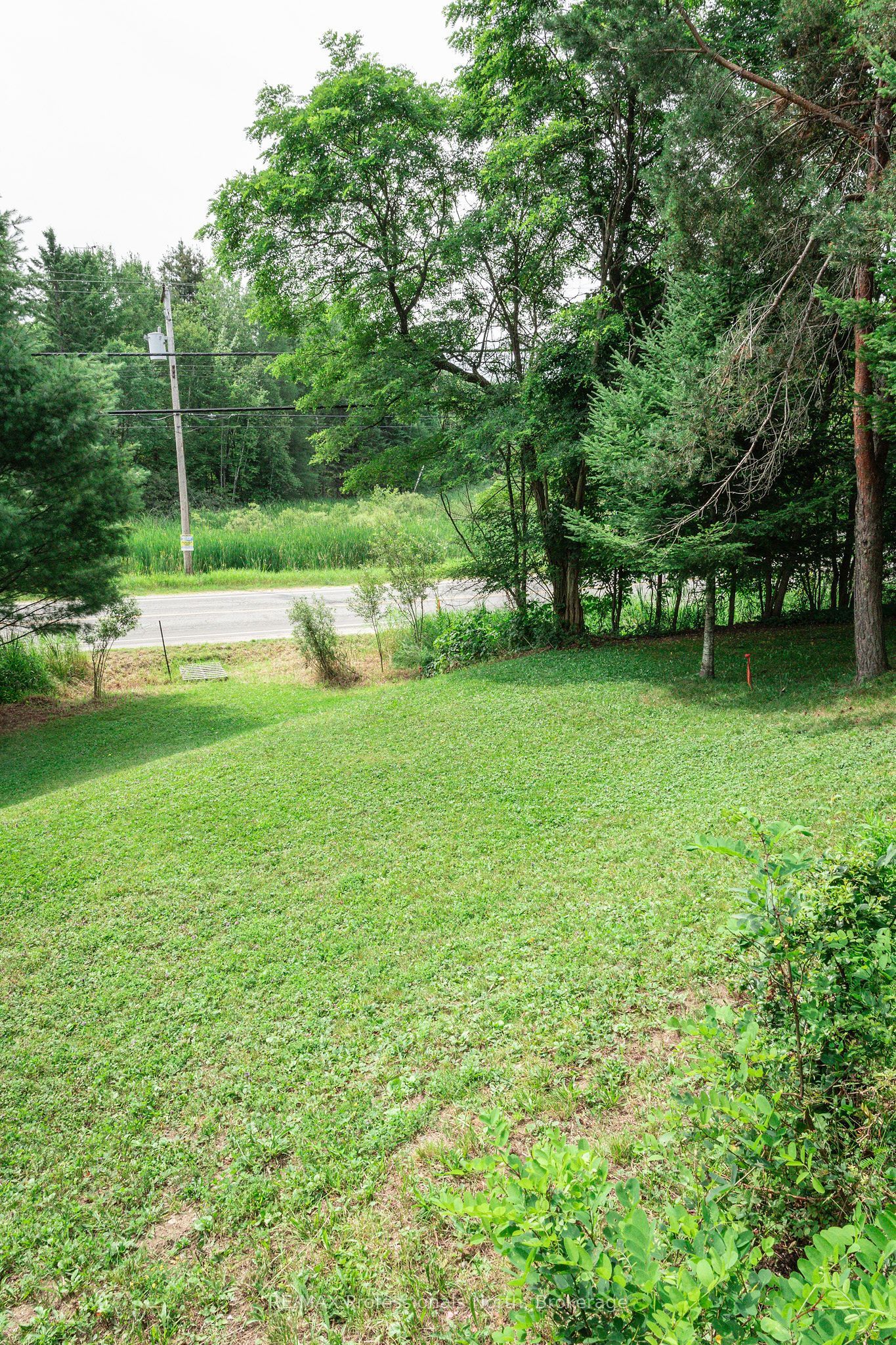 0 Townline Road Property Photo 8