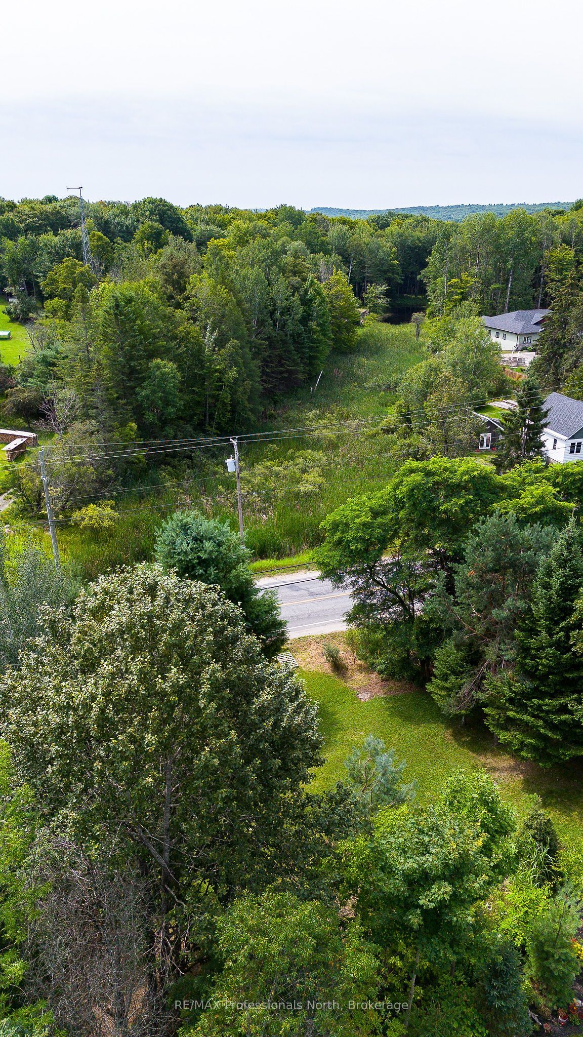 0 Townline Road Property Photo 9