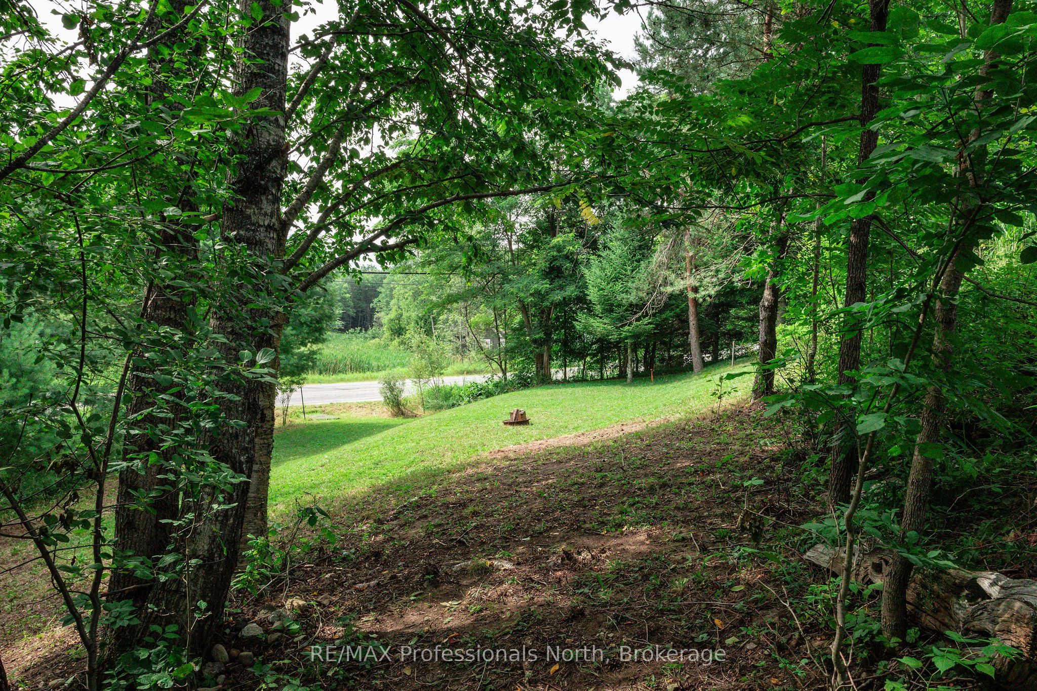 0 Townline Road Property Photo 10