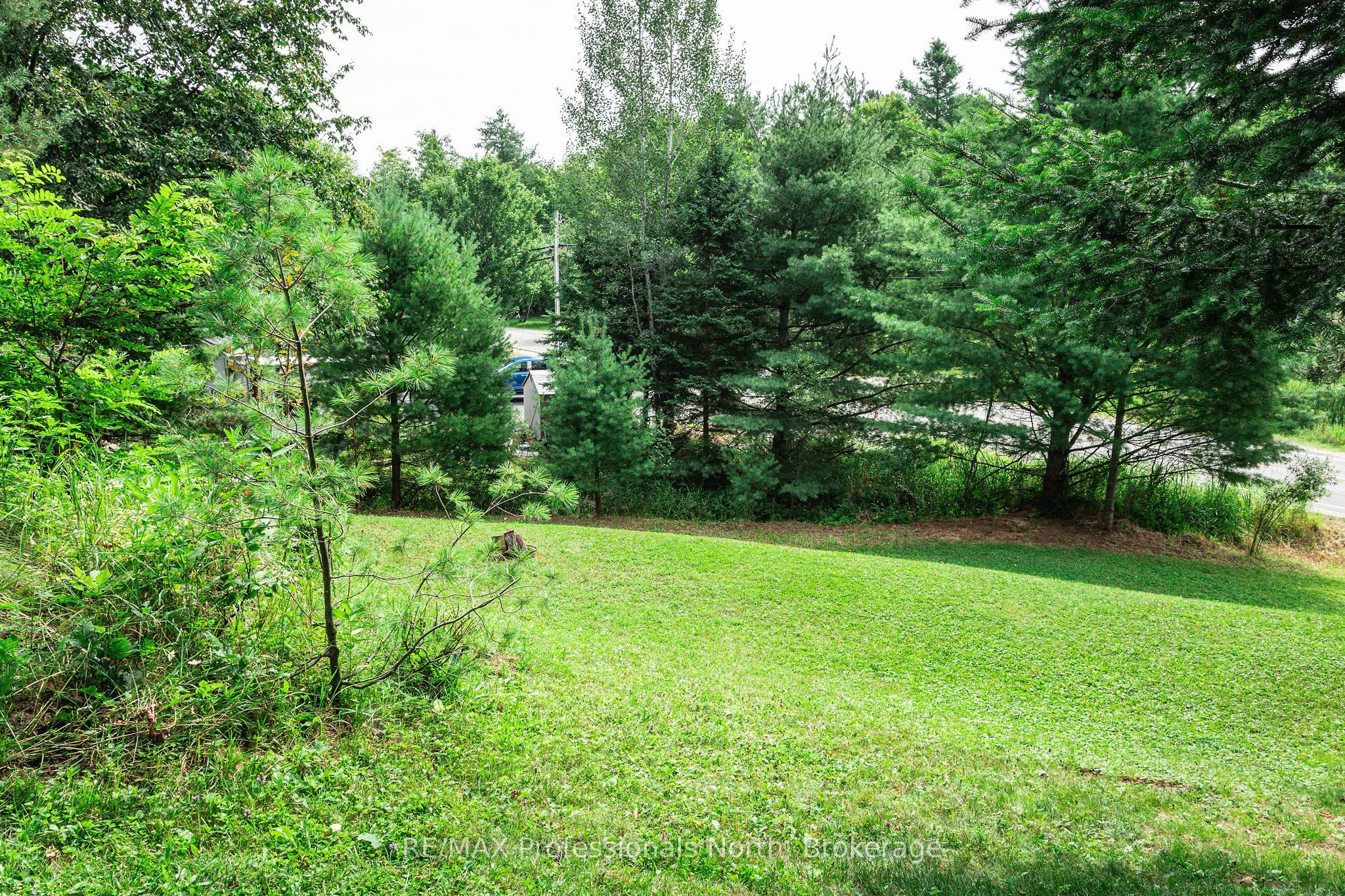 0 Townline Road Property Photo 11