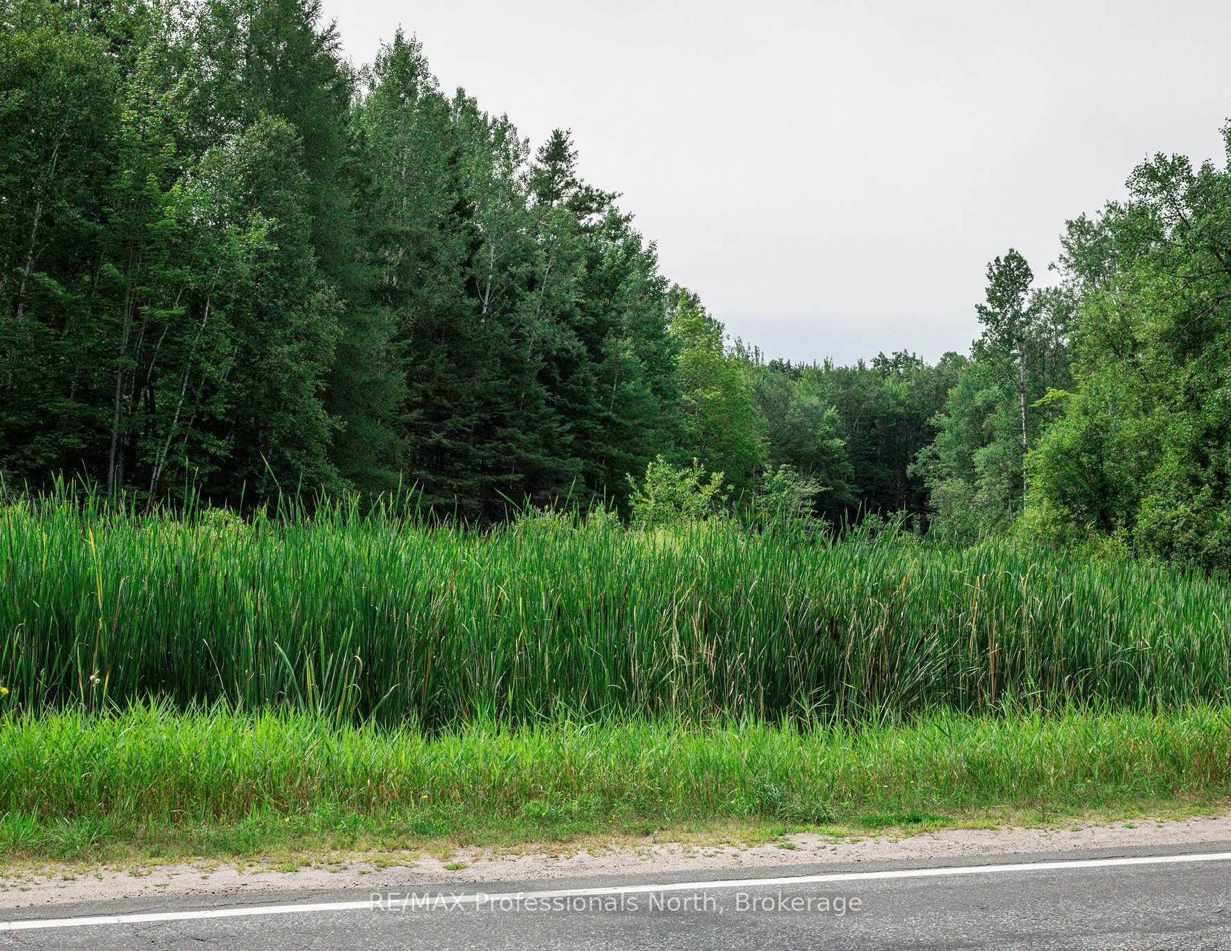 0 Townline Road Property Photo 13