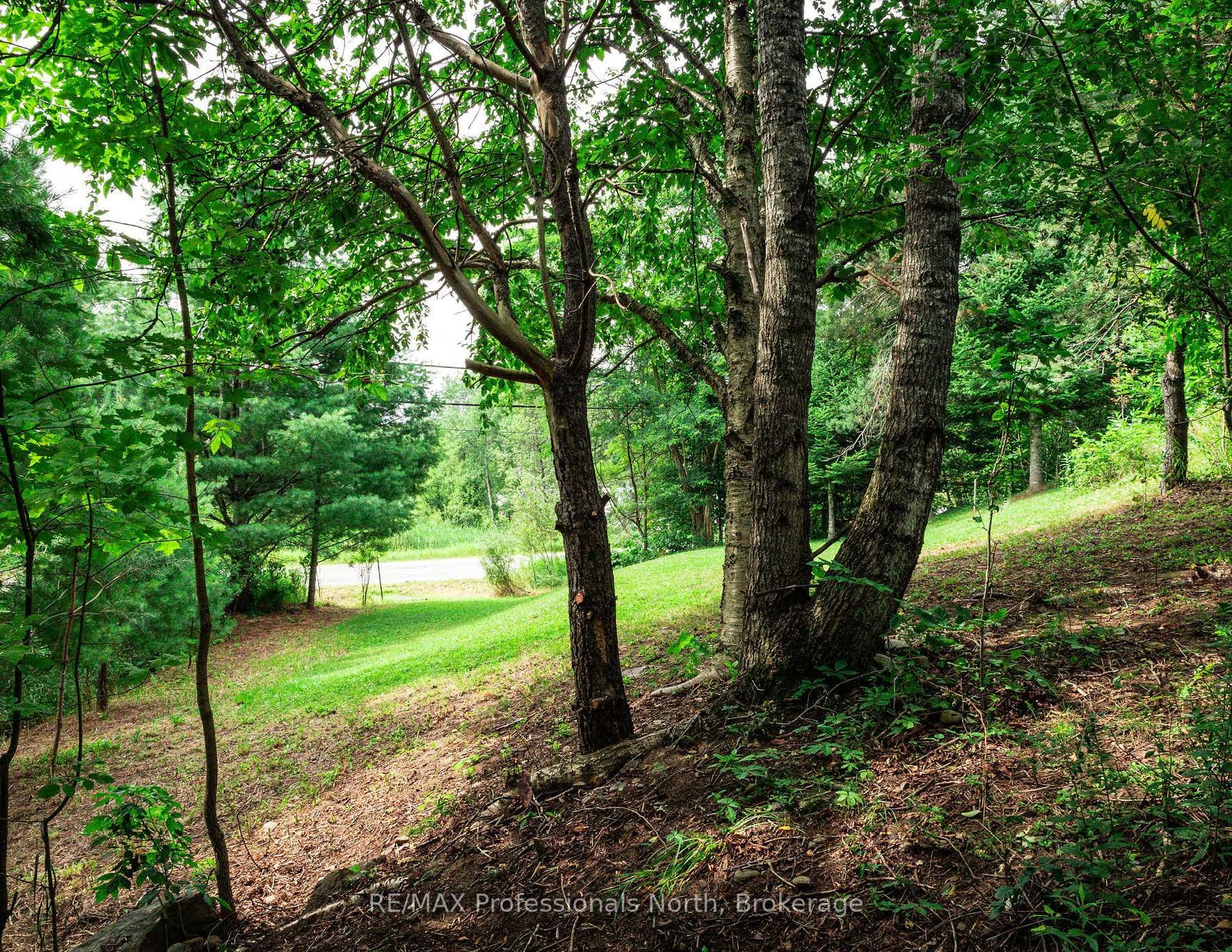0 Townline Road Property Photo 15