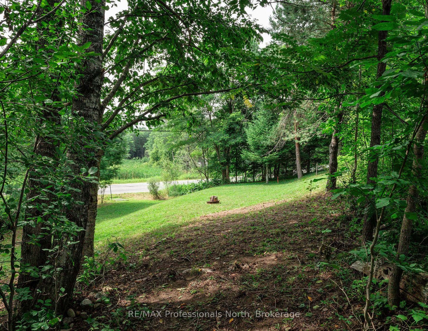 0 Townline Road Property Photo 17