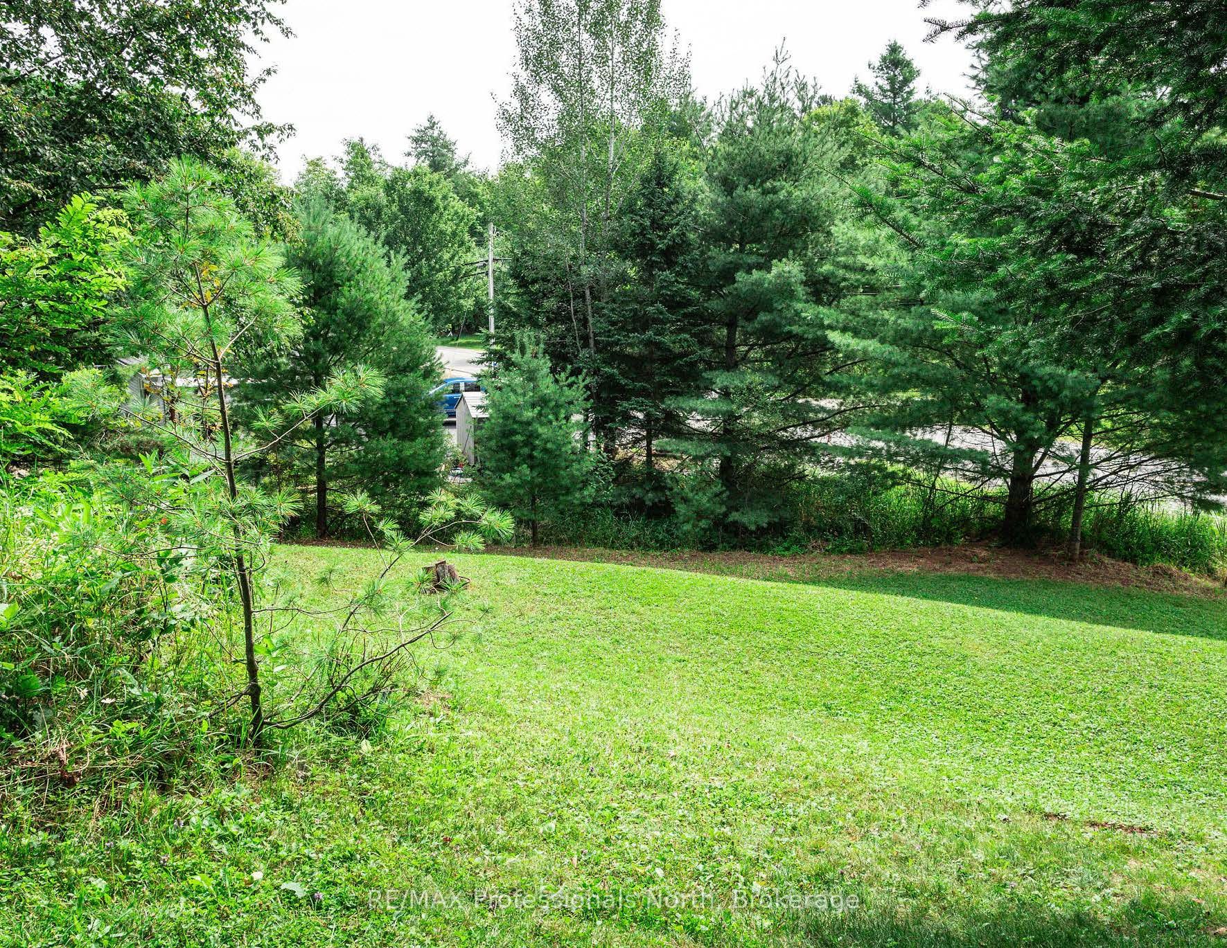0 Townline Road Property Photo 18