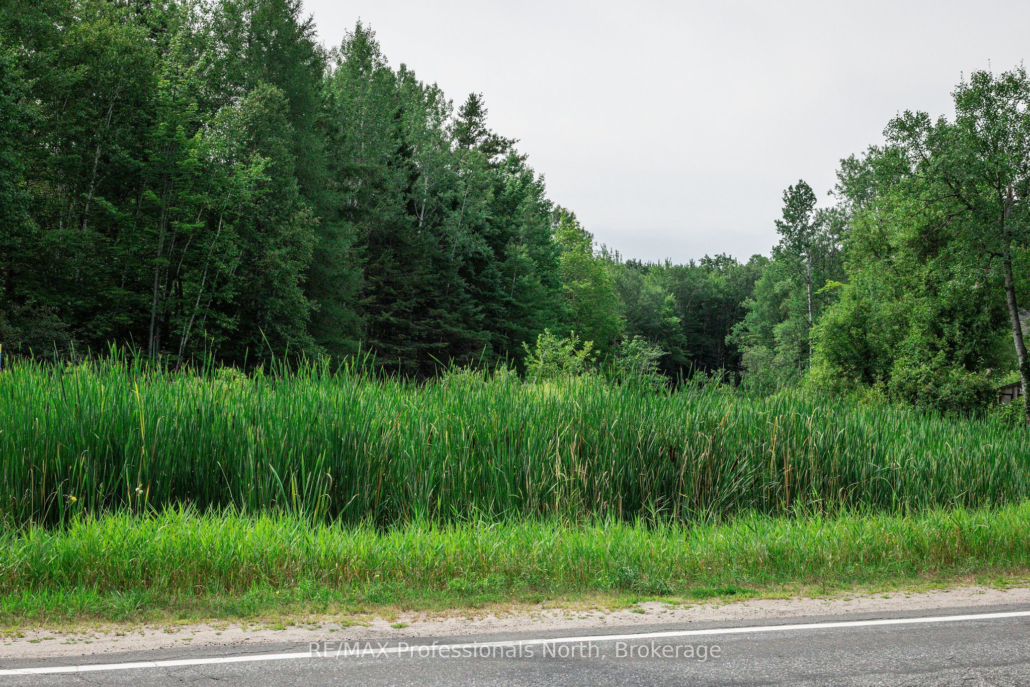 0 Townline Road Property Photo 34