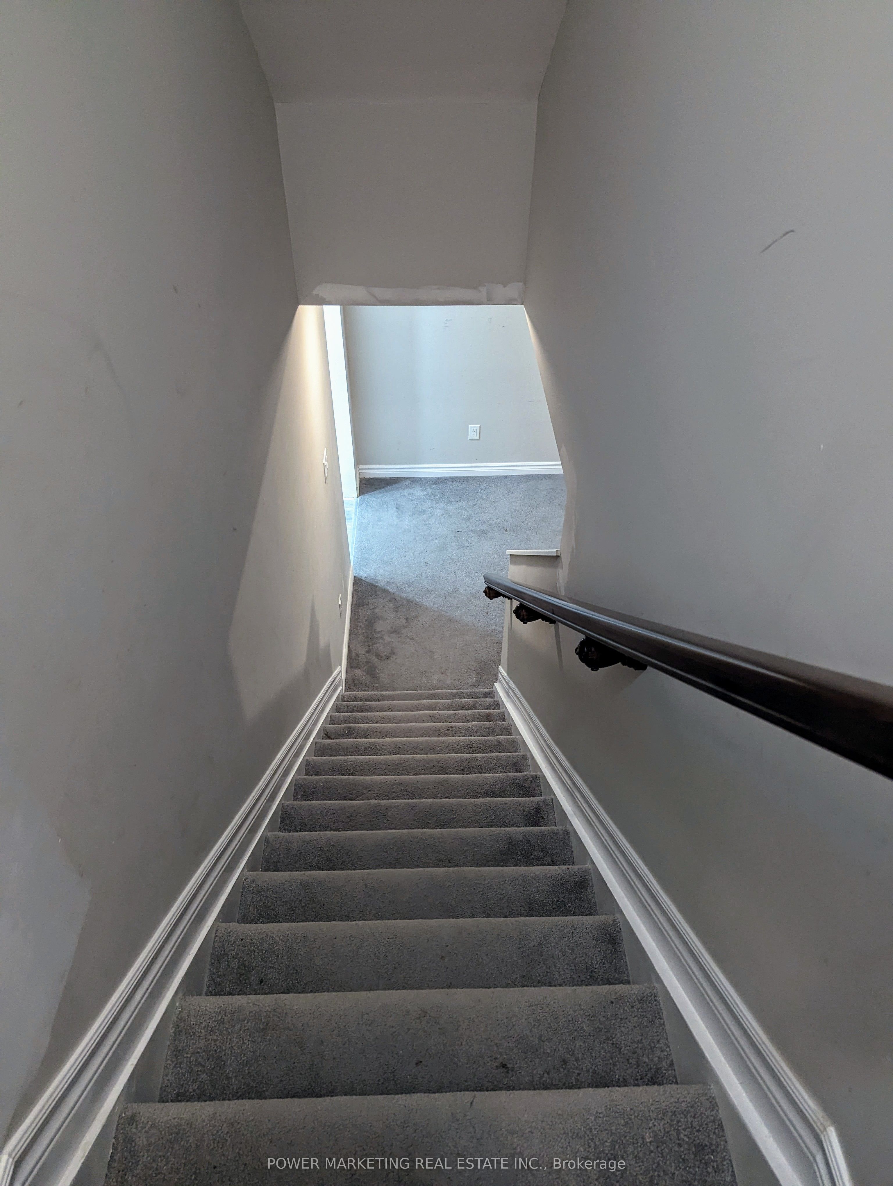 208 Alex Polowin Avenue Basement Property Photo 3