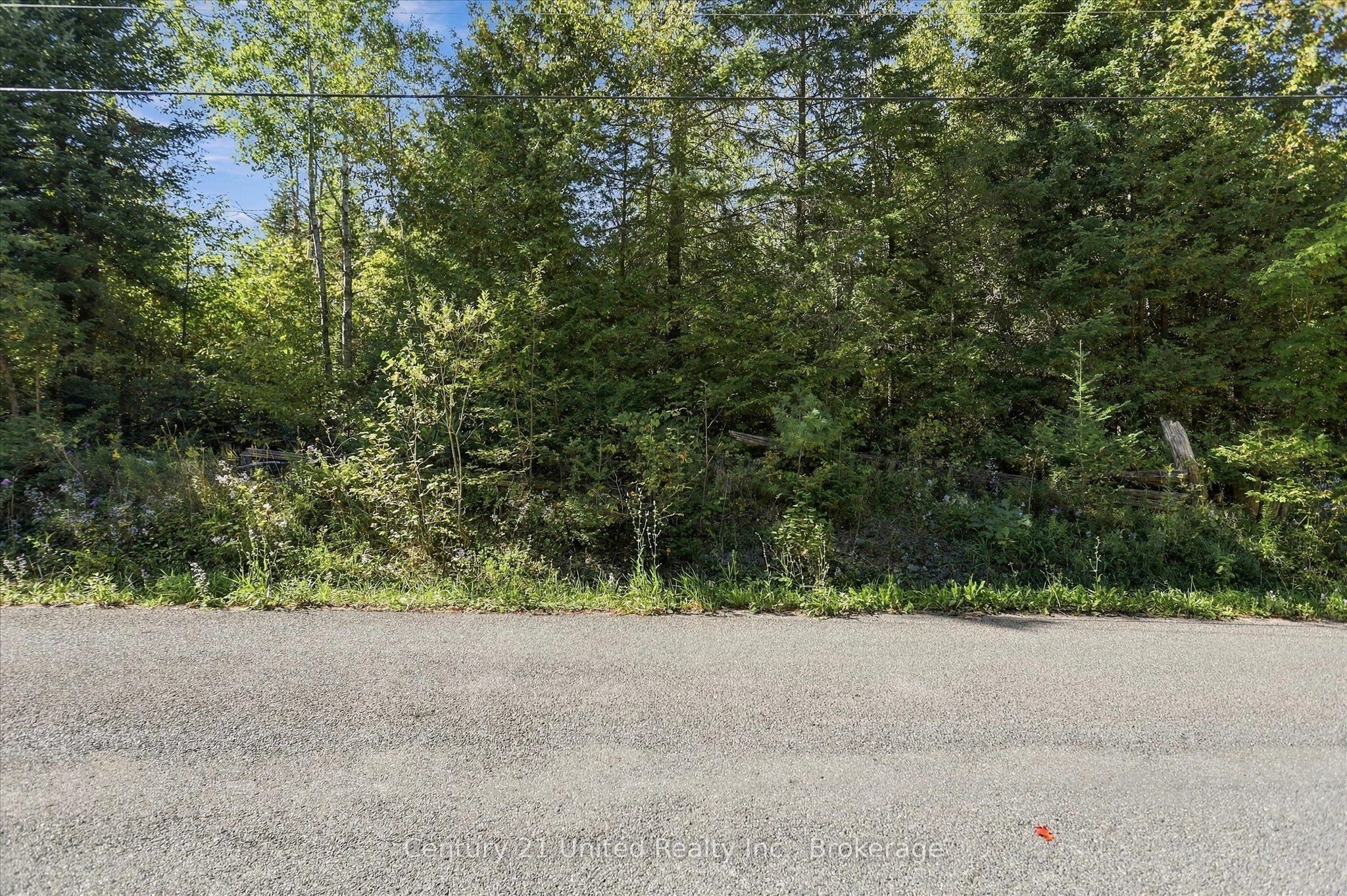 0 North School Road Property Photo 5