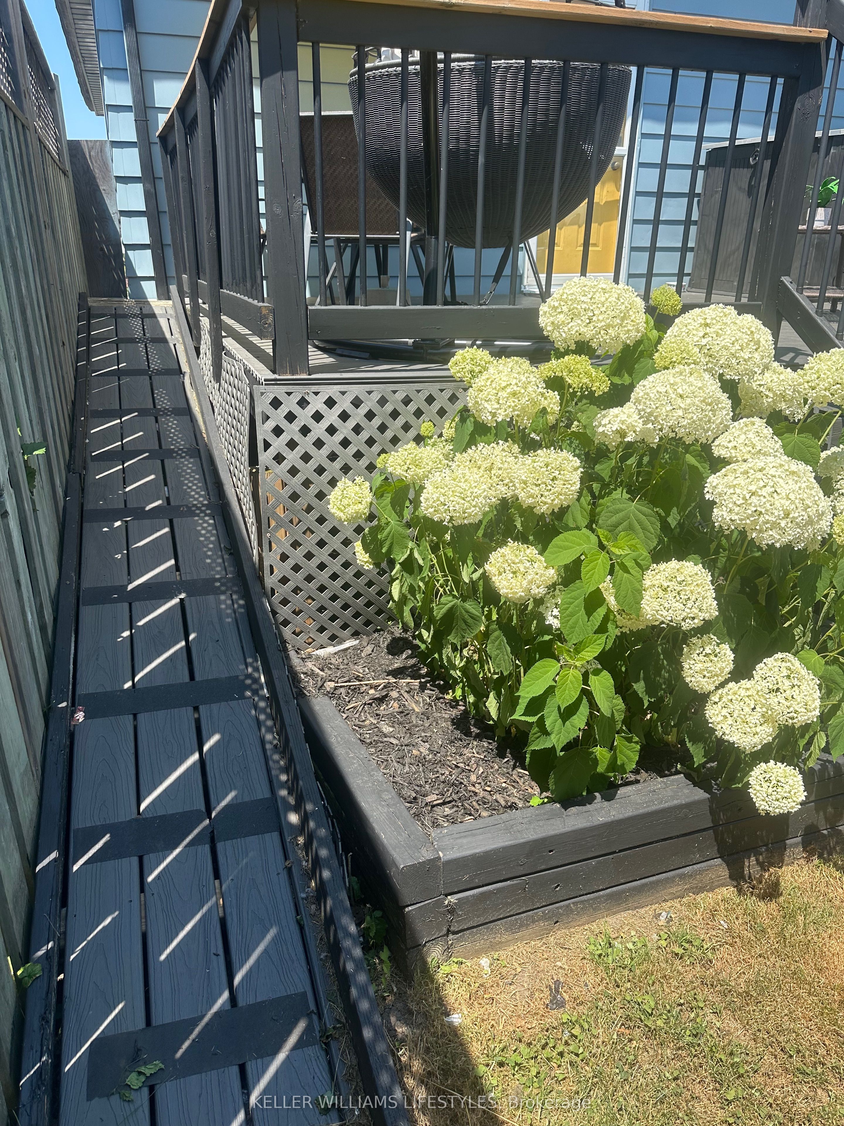 93 Homan Street Property Photo 22