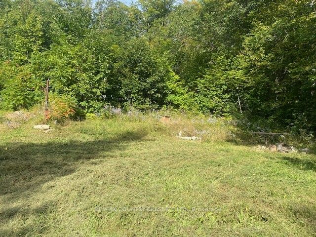 132 Trout Lake Road Property Photo 5