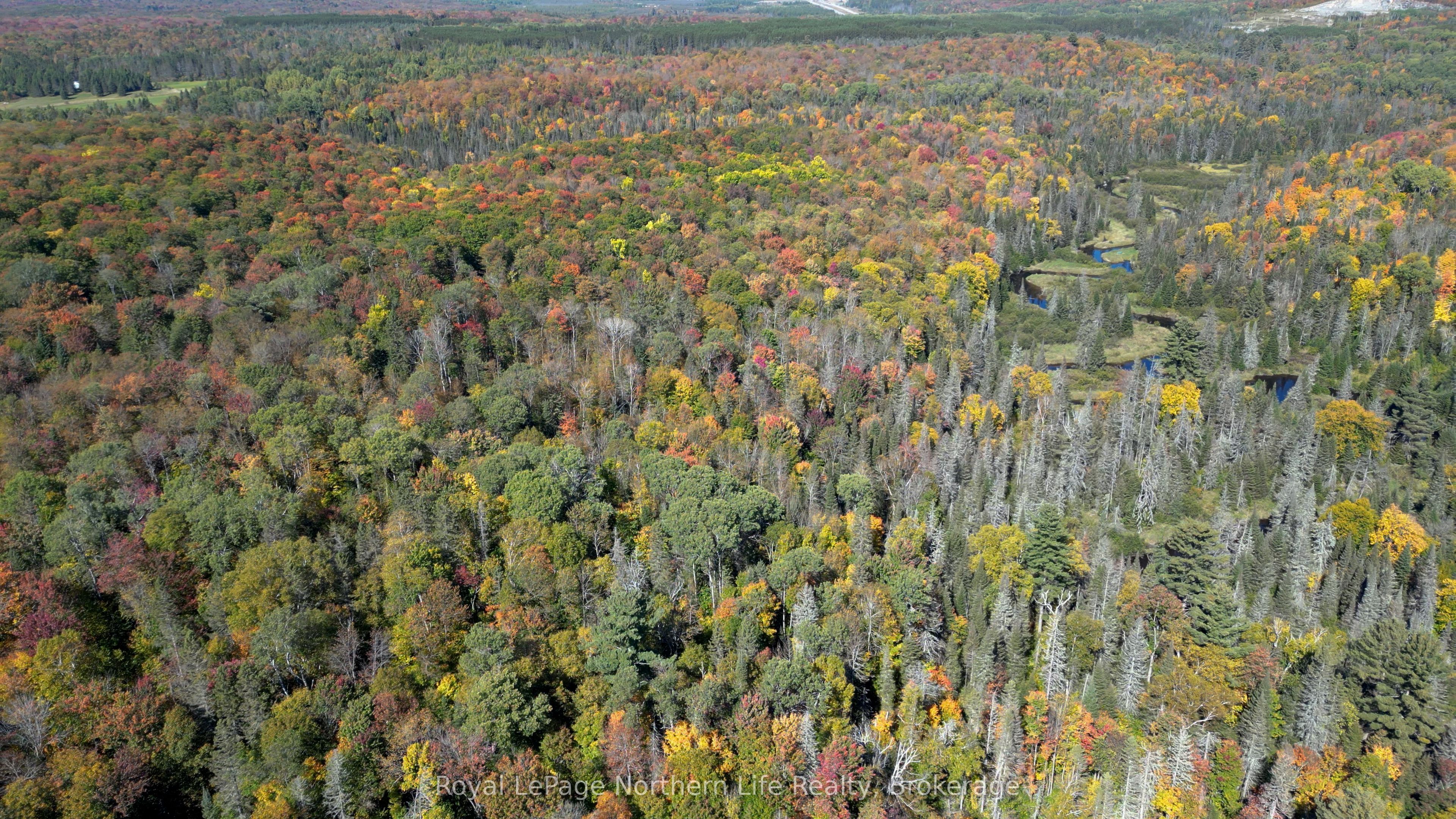 Pt Lt 5 Con 14 South Horn Lake Road Property Photo 3