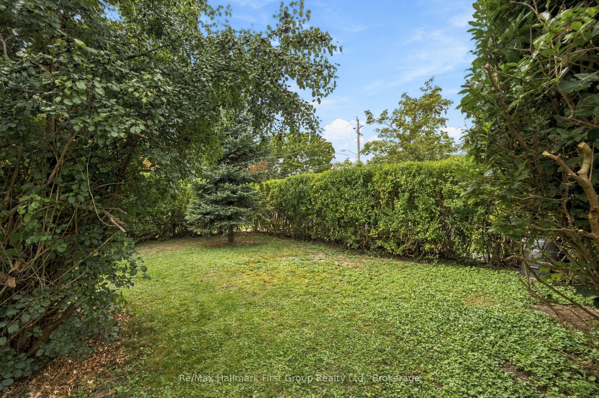 344 D'arcy Street Property Photo 30