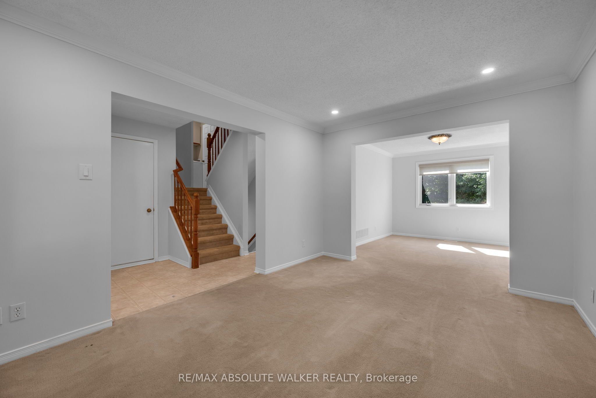 65 Halley Street Property Photo 8