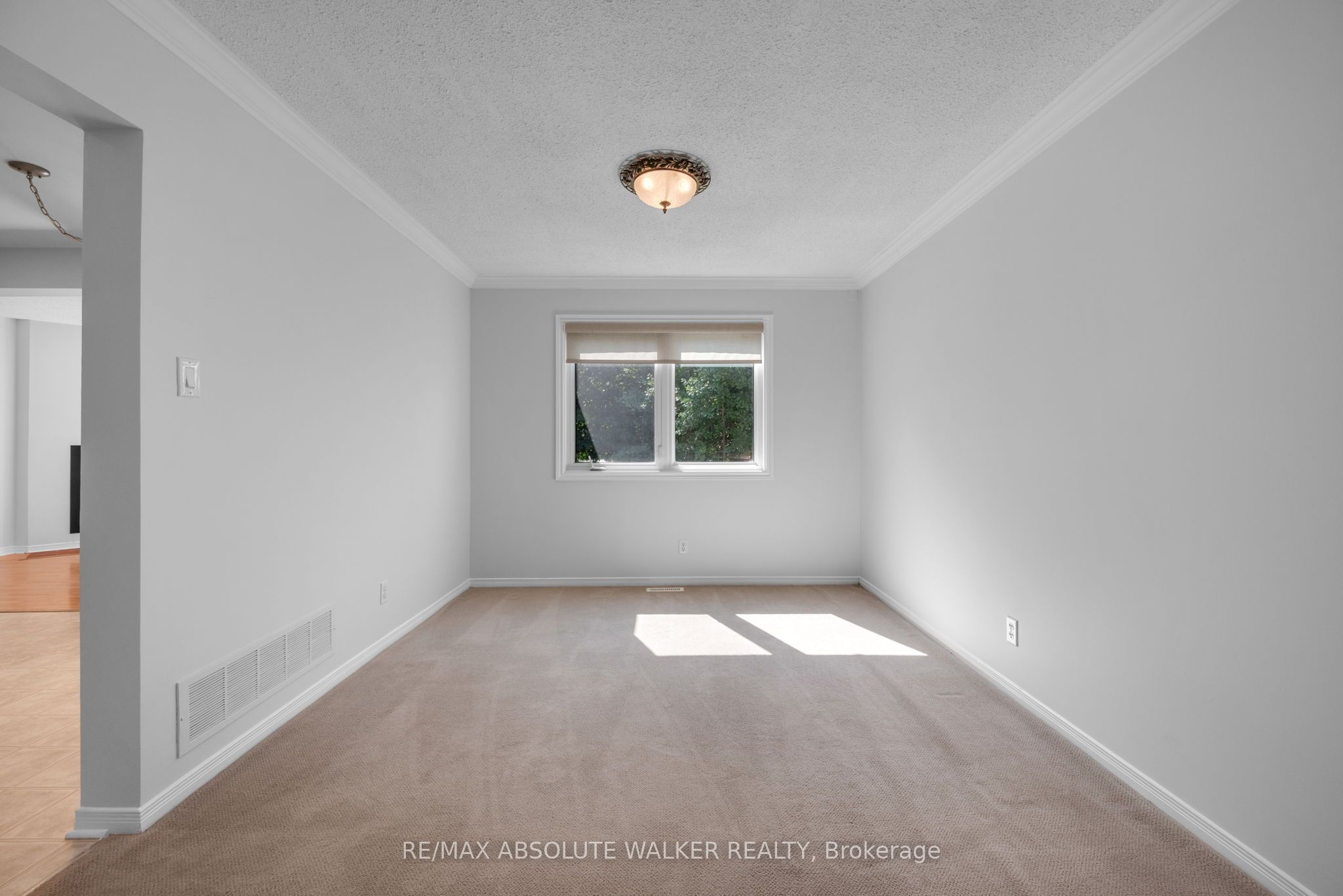 65 Halley Street Property Photo 10