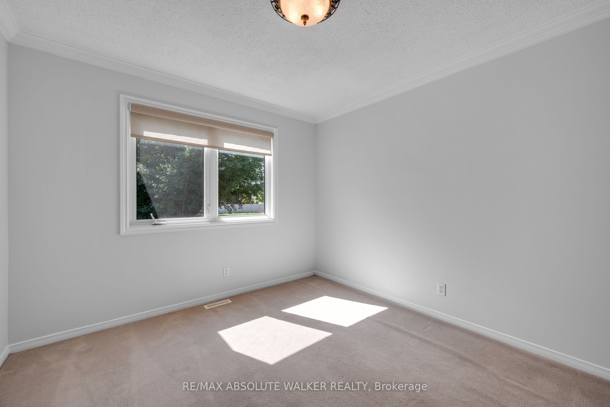 65 Halley Street Property Photo 12