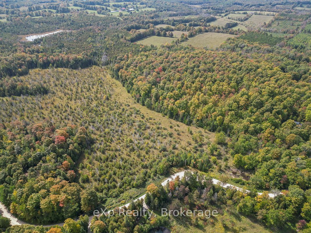 Pt Lt 15 Baseline Road Property Photo 5