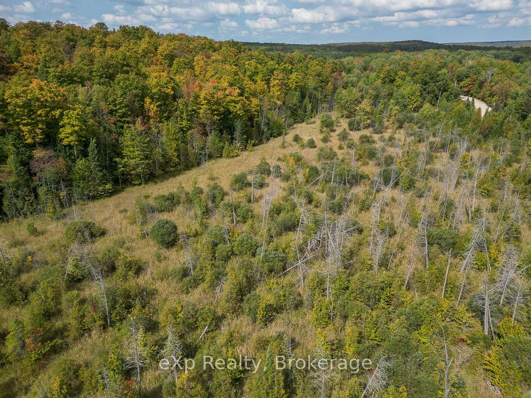 Pt Lt 15 Baseline Road Property Photo 8
