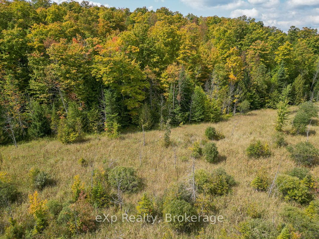 Pt Lt 15 Baseline Road Property Photo 9