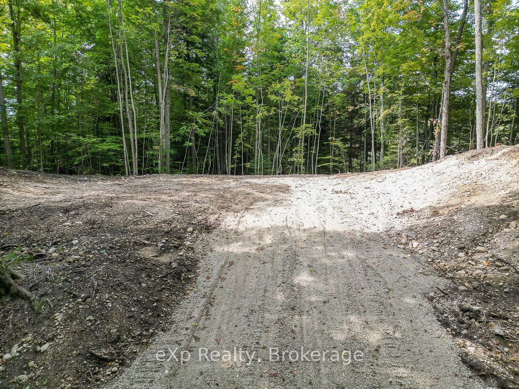 Pt Lt 15 Baseline Road Property Photo 12