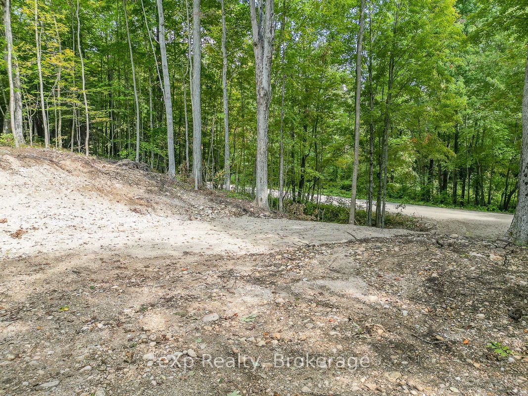 Pt Lt 15 Baseline Road Property Photo 13