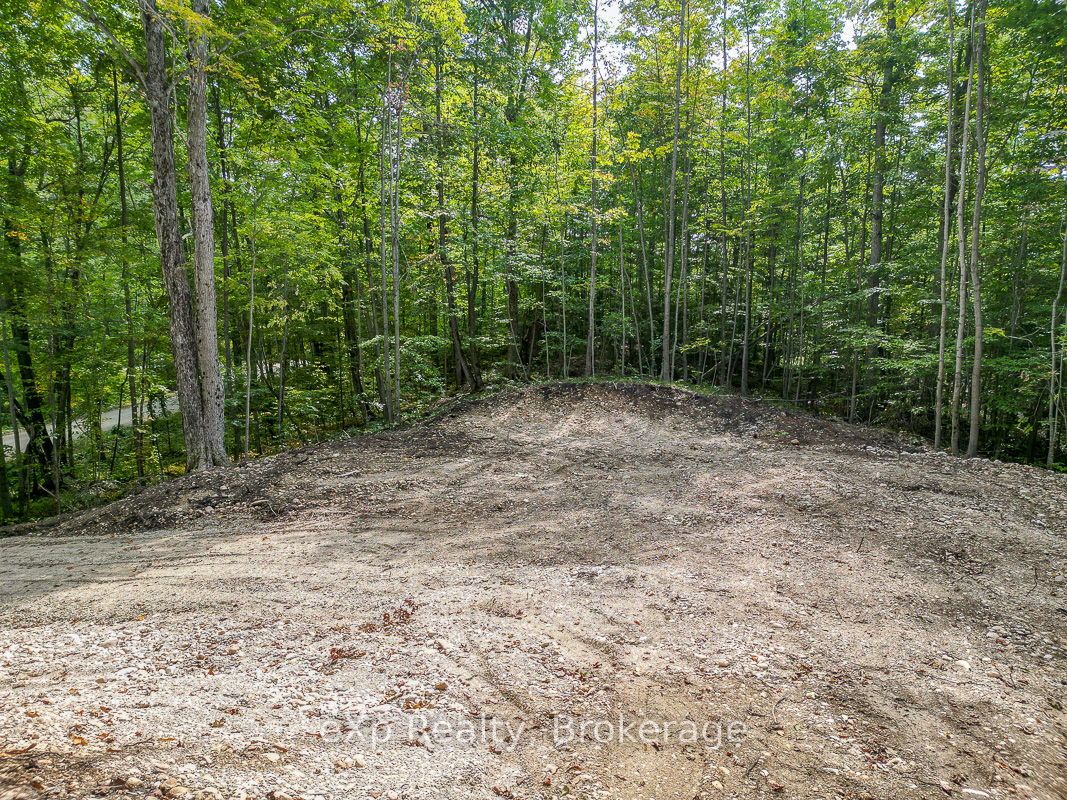 Pt Lt 15 Baseline Road Property Photo 14