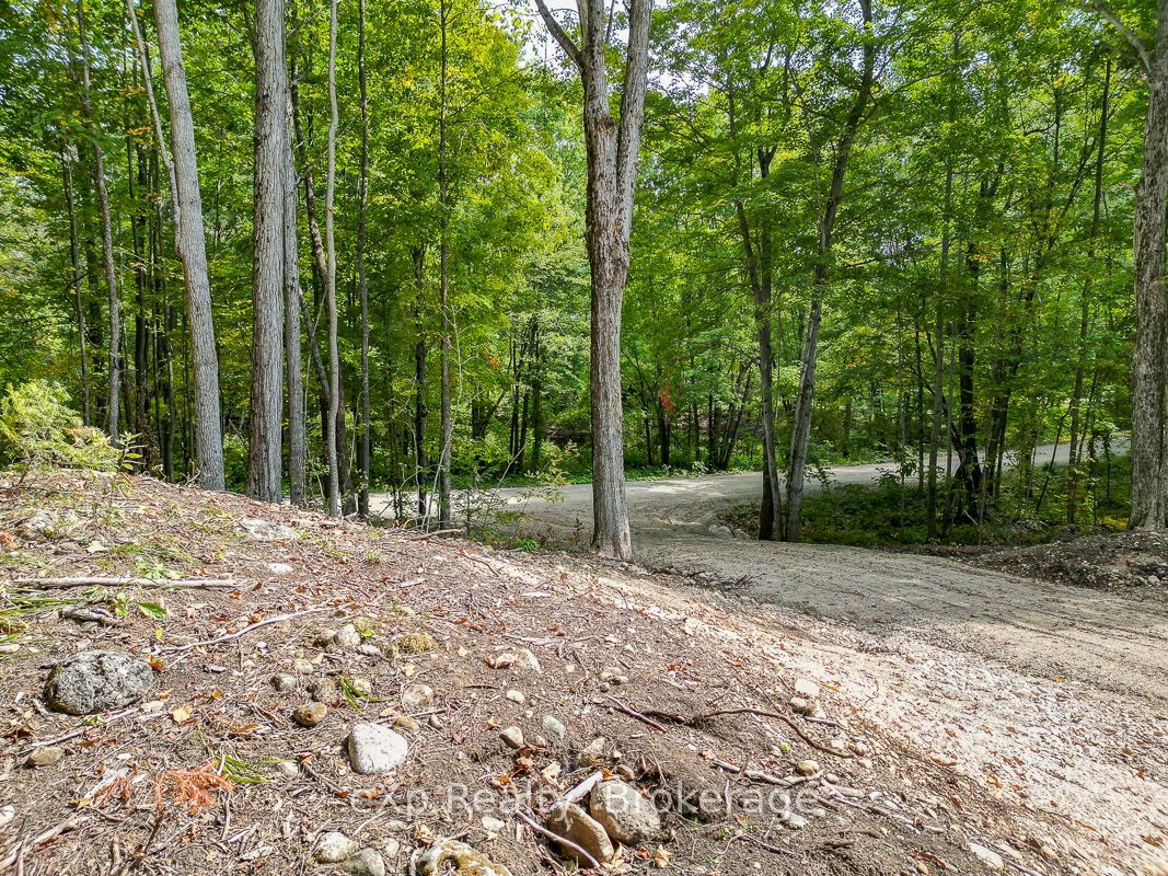 Pt Lt 15 Baseline Road Property Photo 15