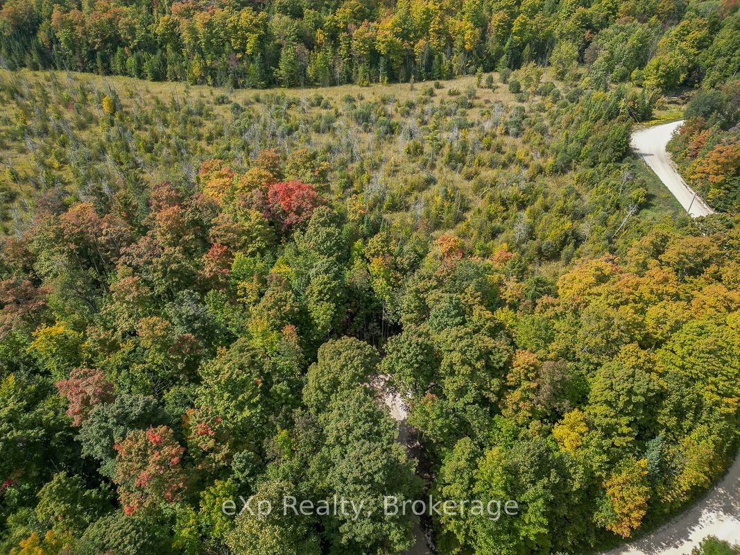 Pt Lt 15 Baseline Road Property Photo 20