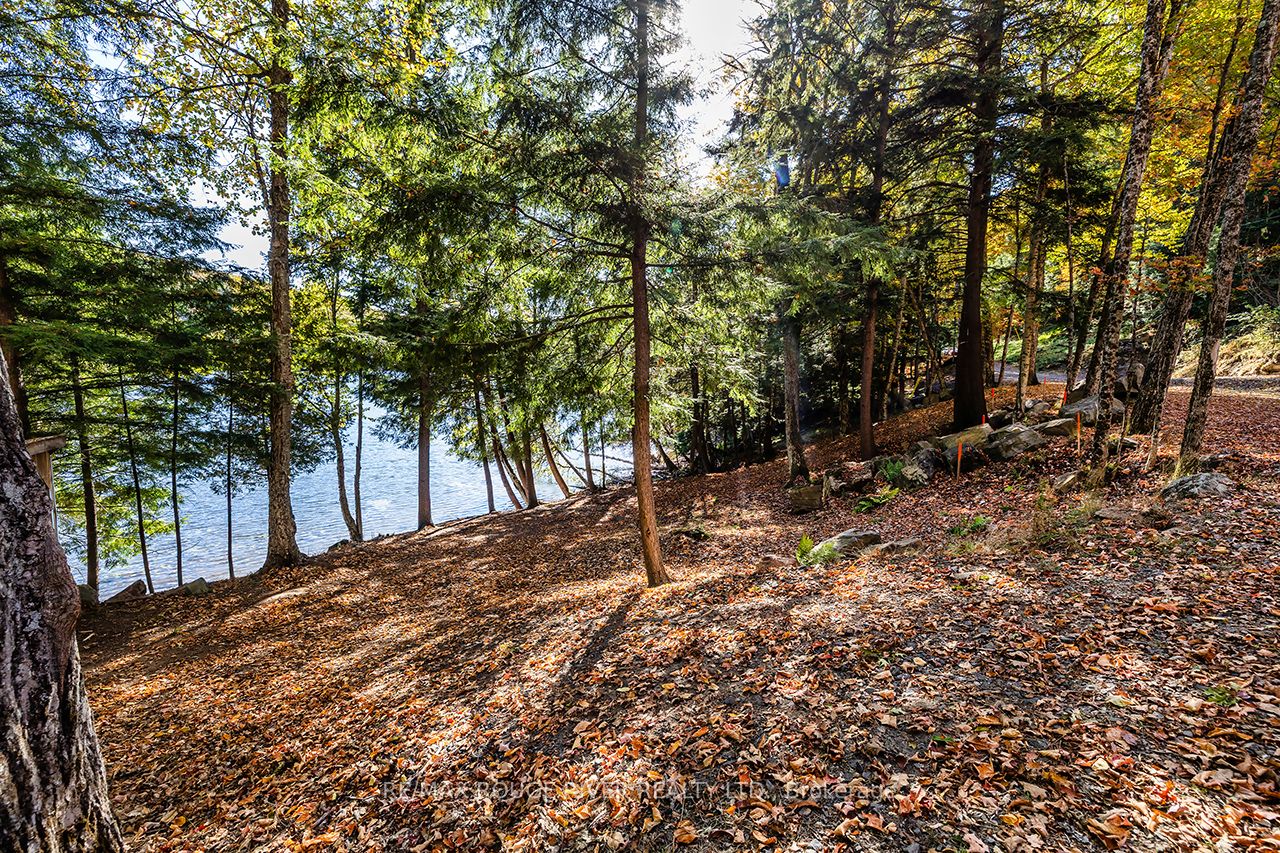 0 Thompson Portage Road Property Photo 18