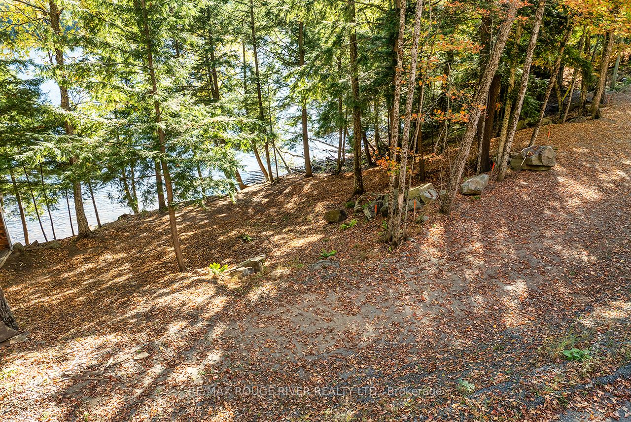 0 Thompson Portage Road Property Photo 21