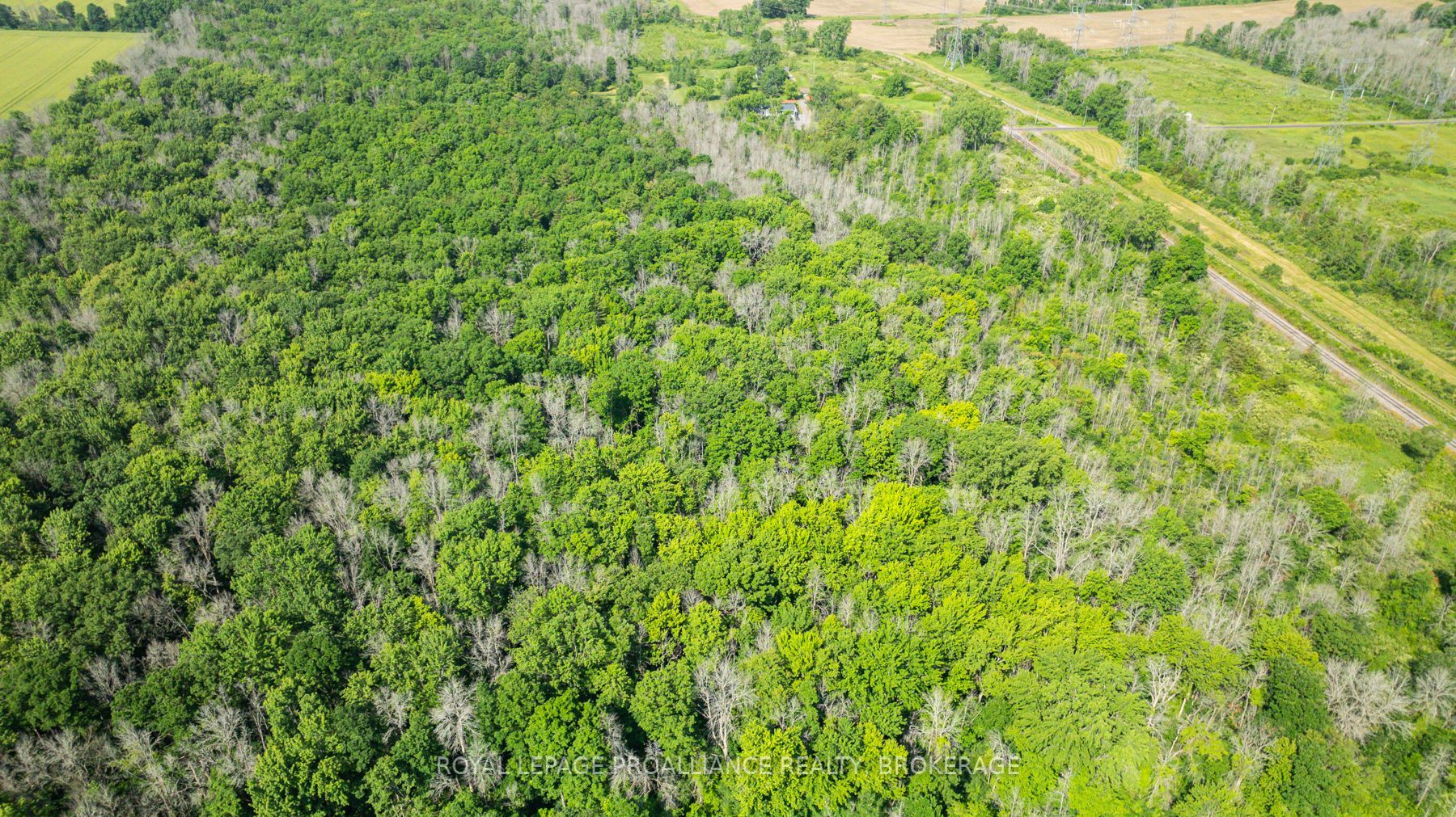 Lot B Townline Road Property Photo 4