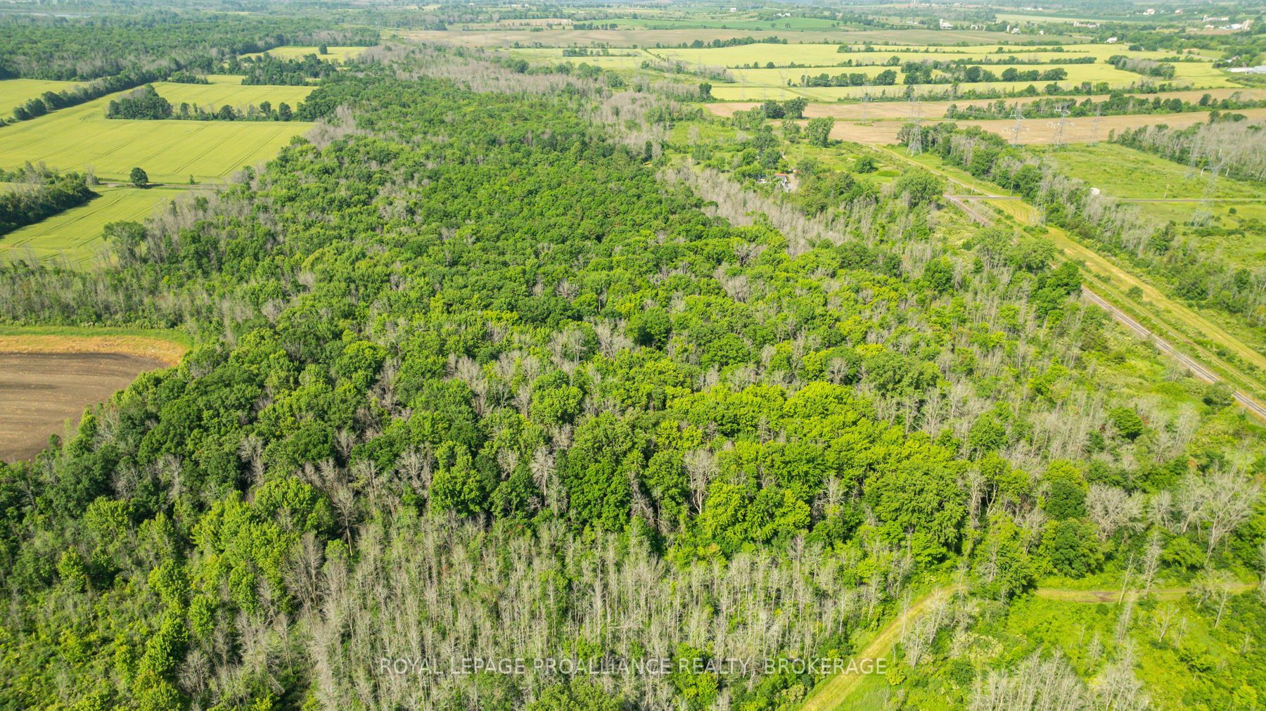 Lot B Townline Road Property Photo 5