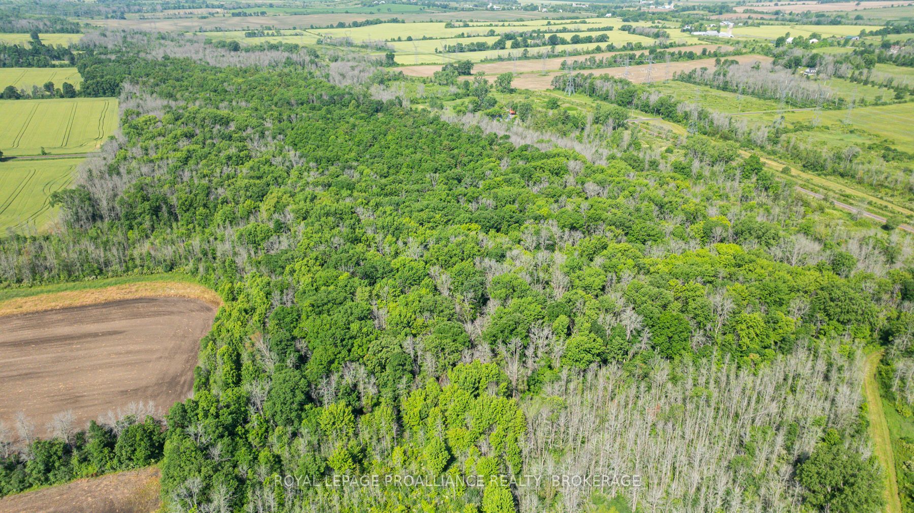 Lot B Townline Road Property Photo 6