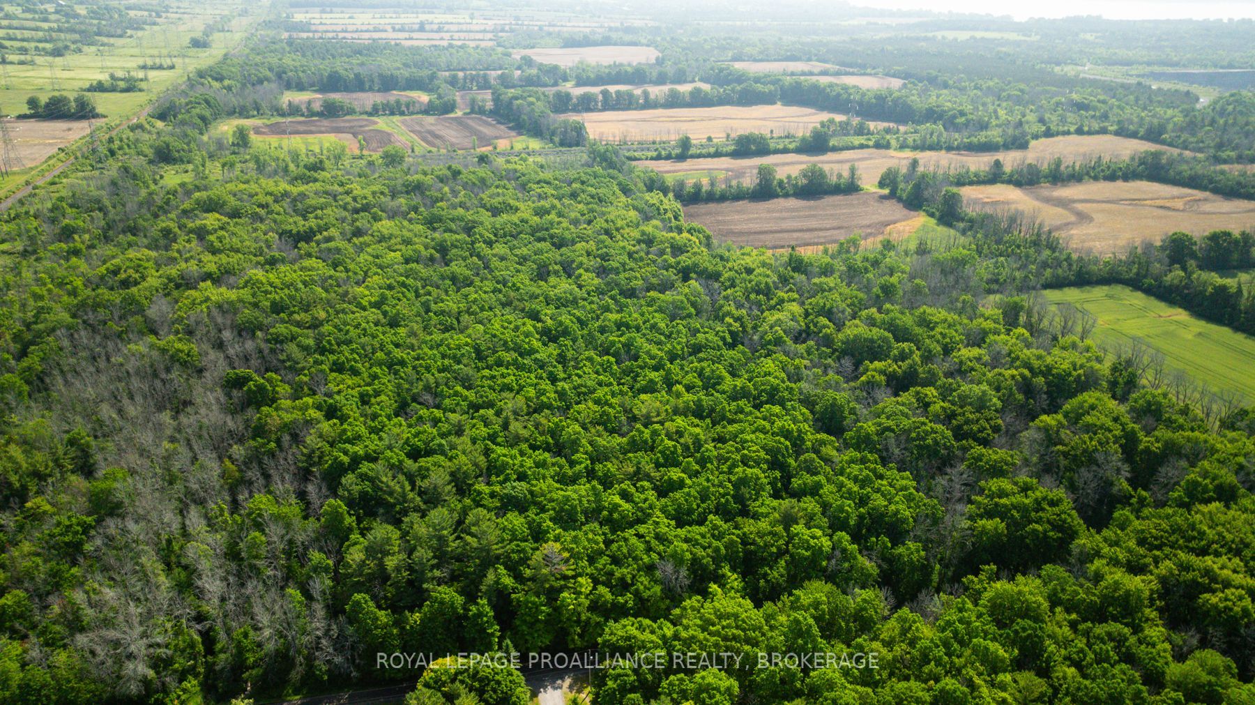 Lot B Townline Road Property Photo 10