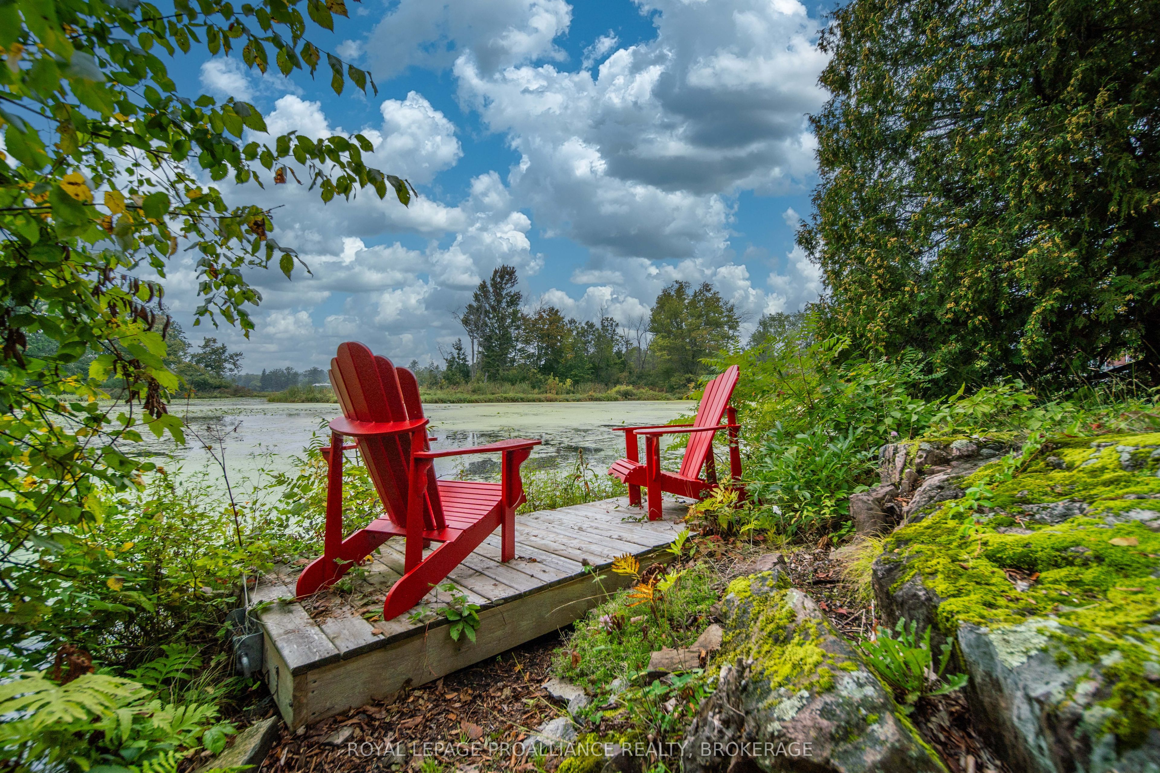 4781 Wilmer Road Property Photo 38