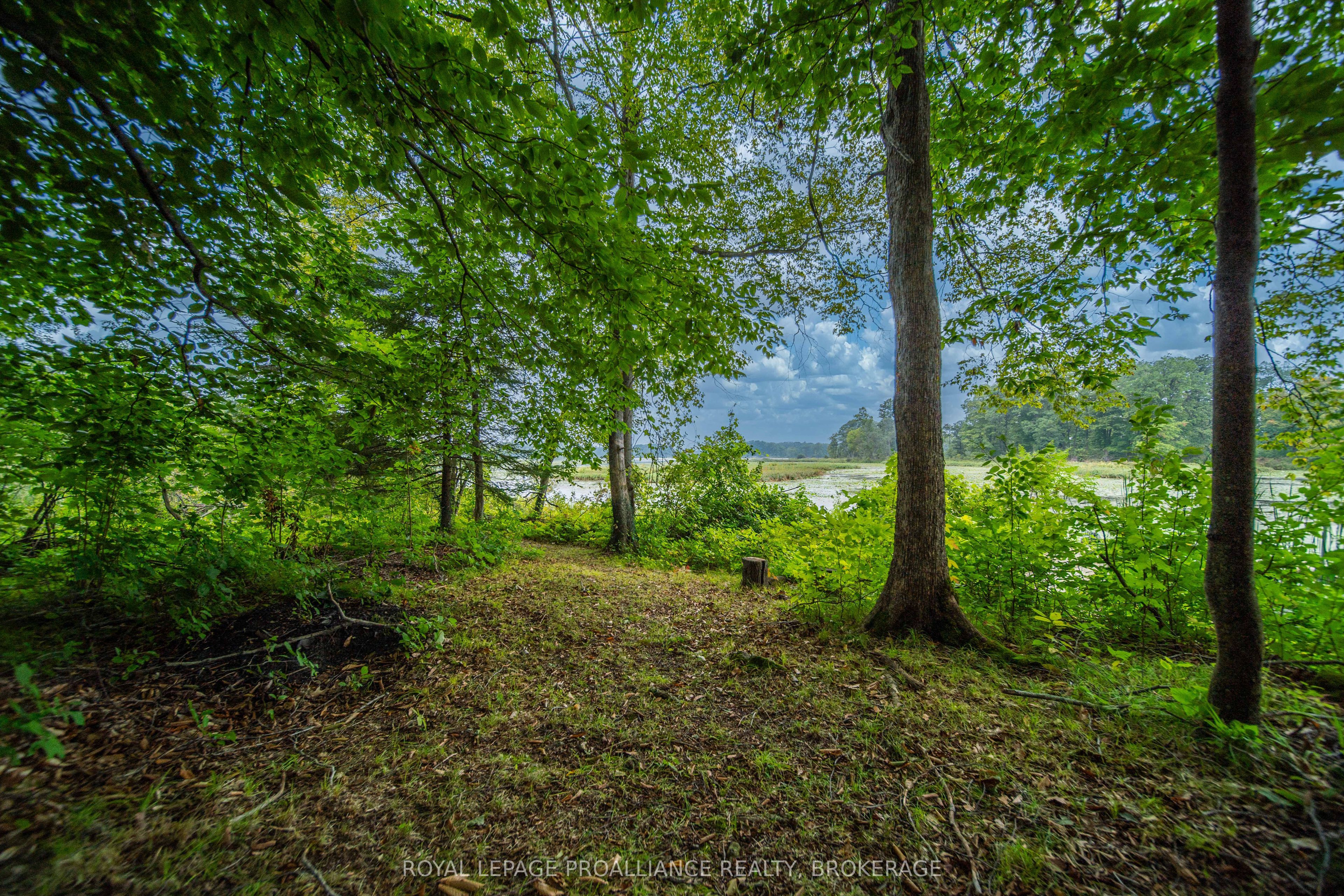 4781 Wilmer Road Property Photo 39