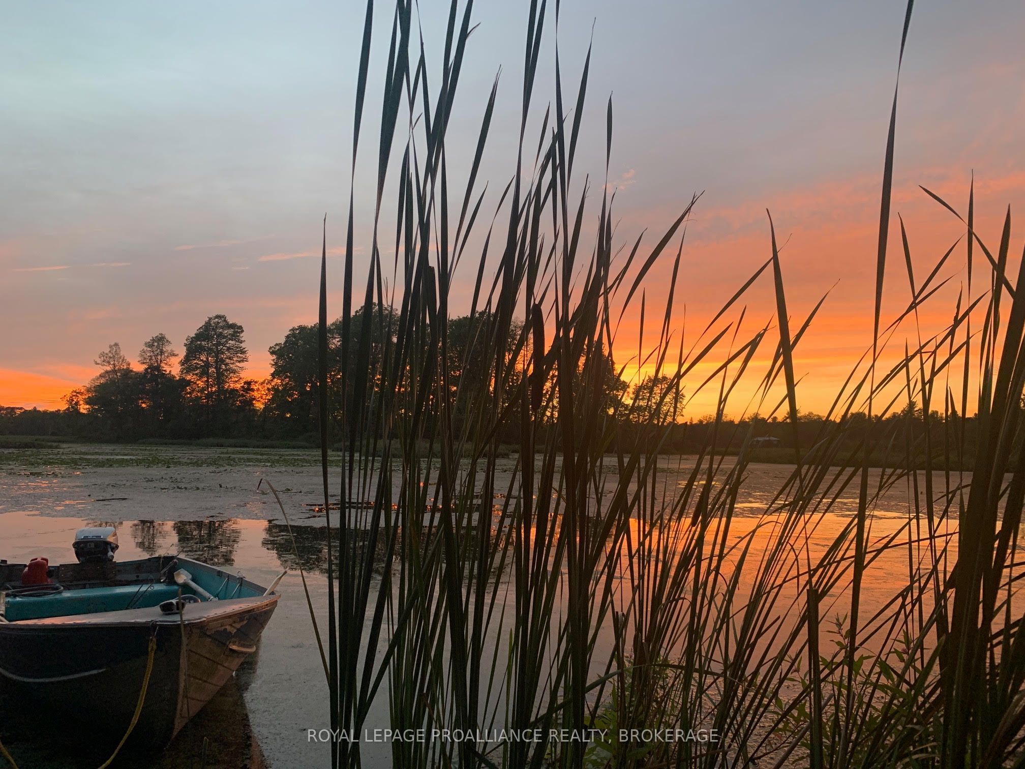 4781 Wilmer Road Property Photo 43