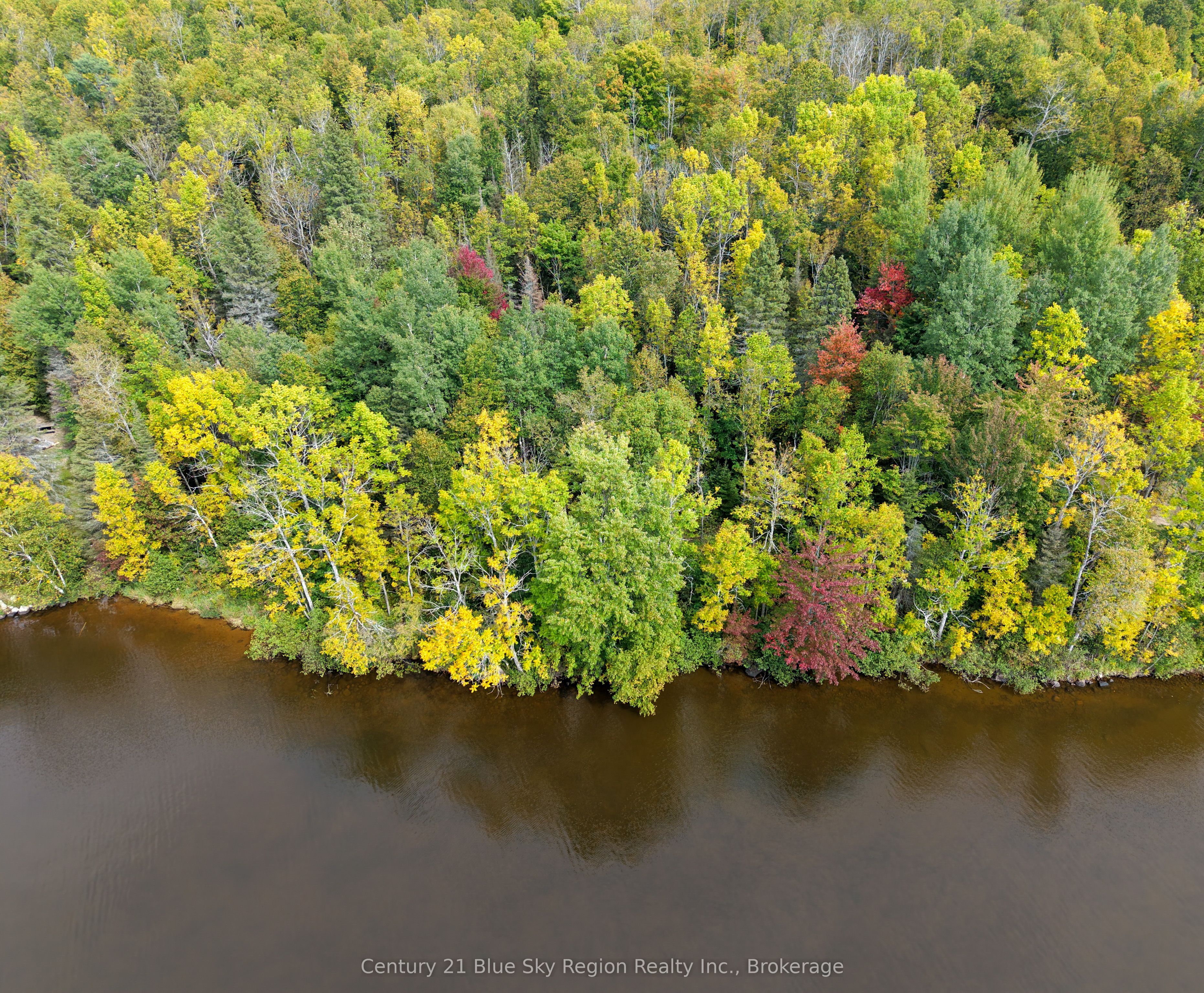 487 Golf Course Road Property Photo 4