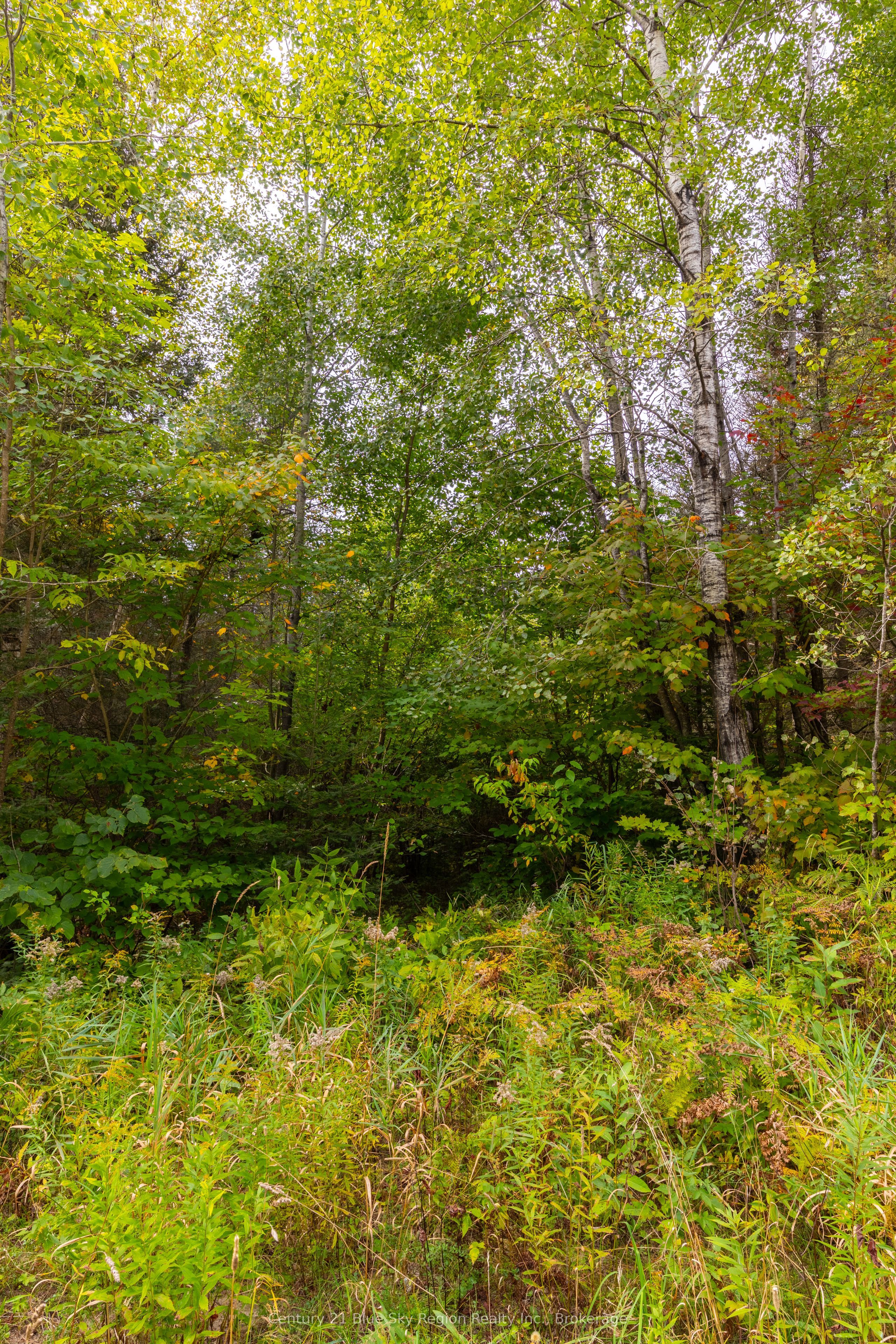 487 Golf Course Road Property Photo 8