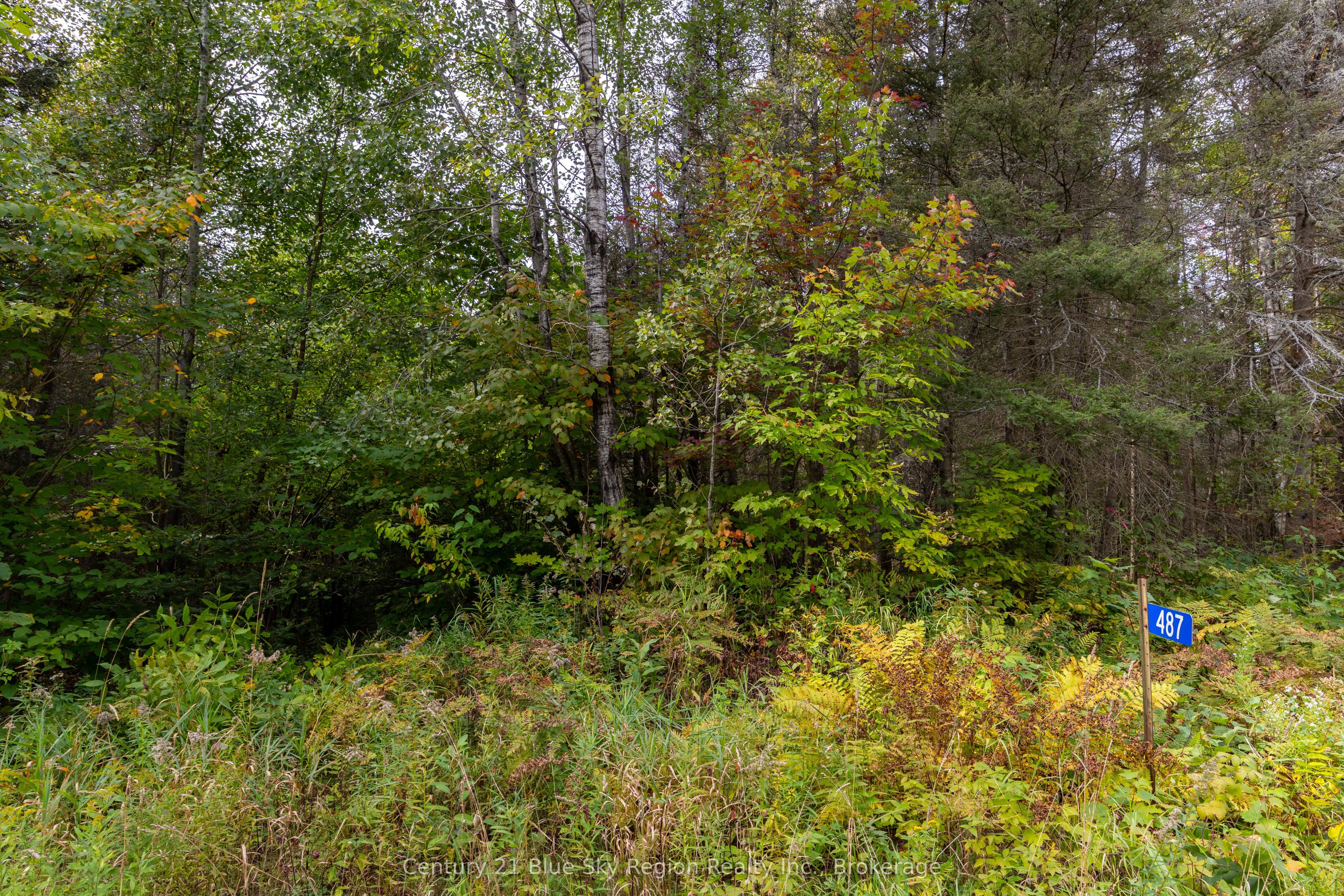 487 Golf Course Road Property Photo 9