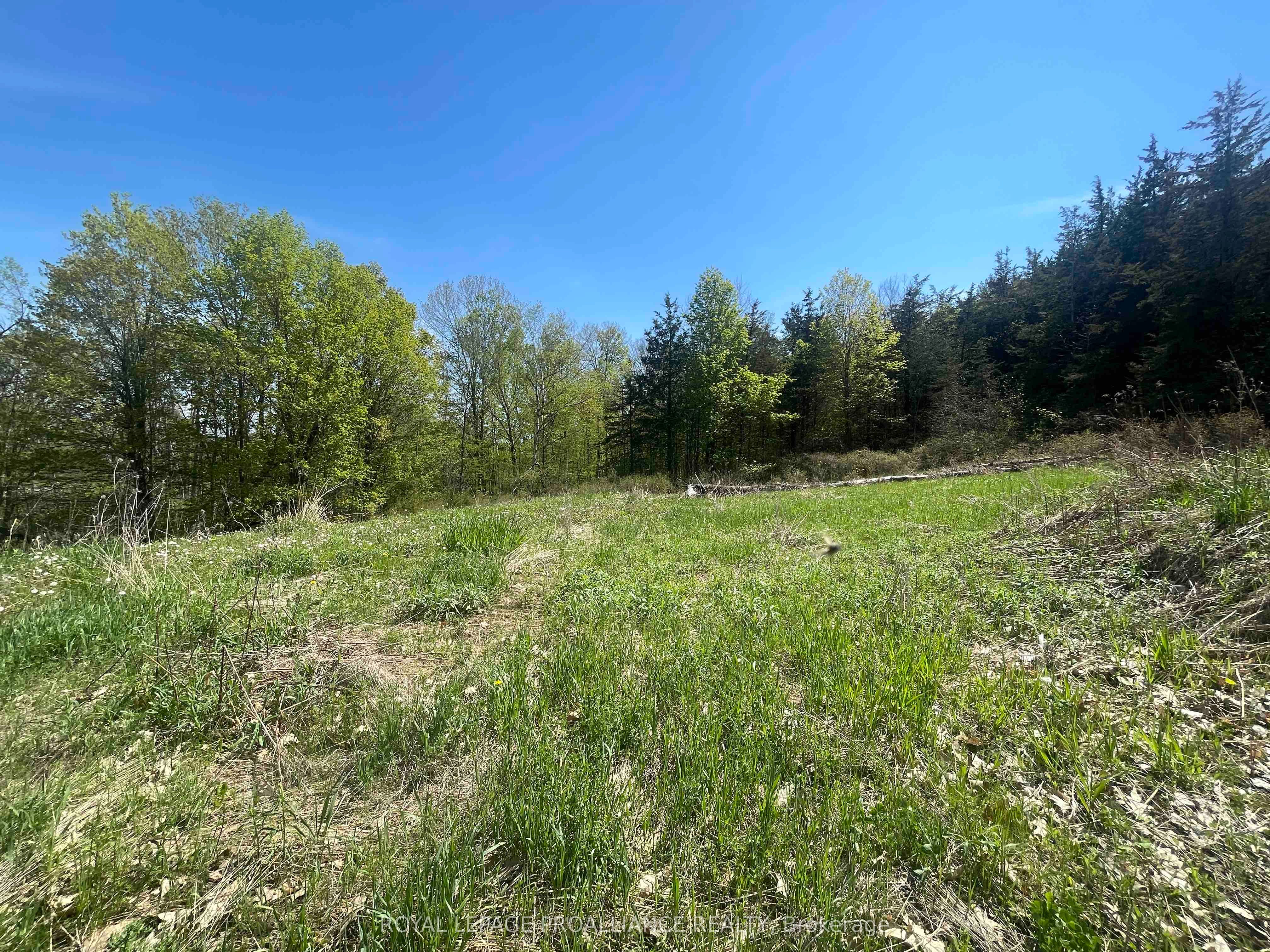 430 Beaver Road Property Photo 9