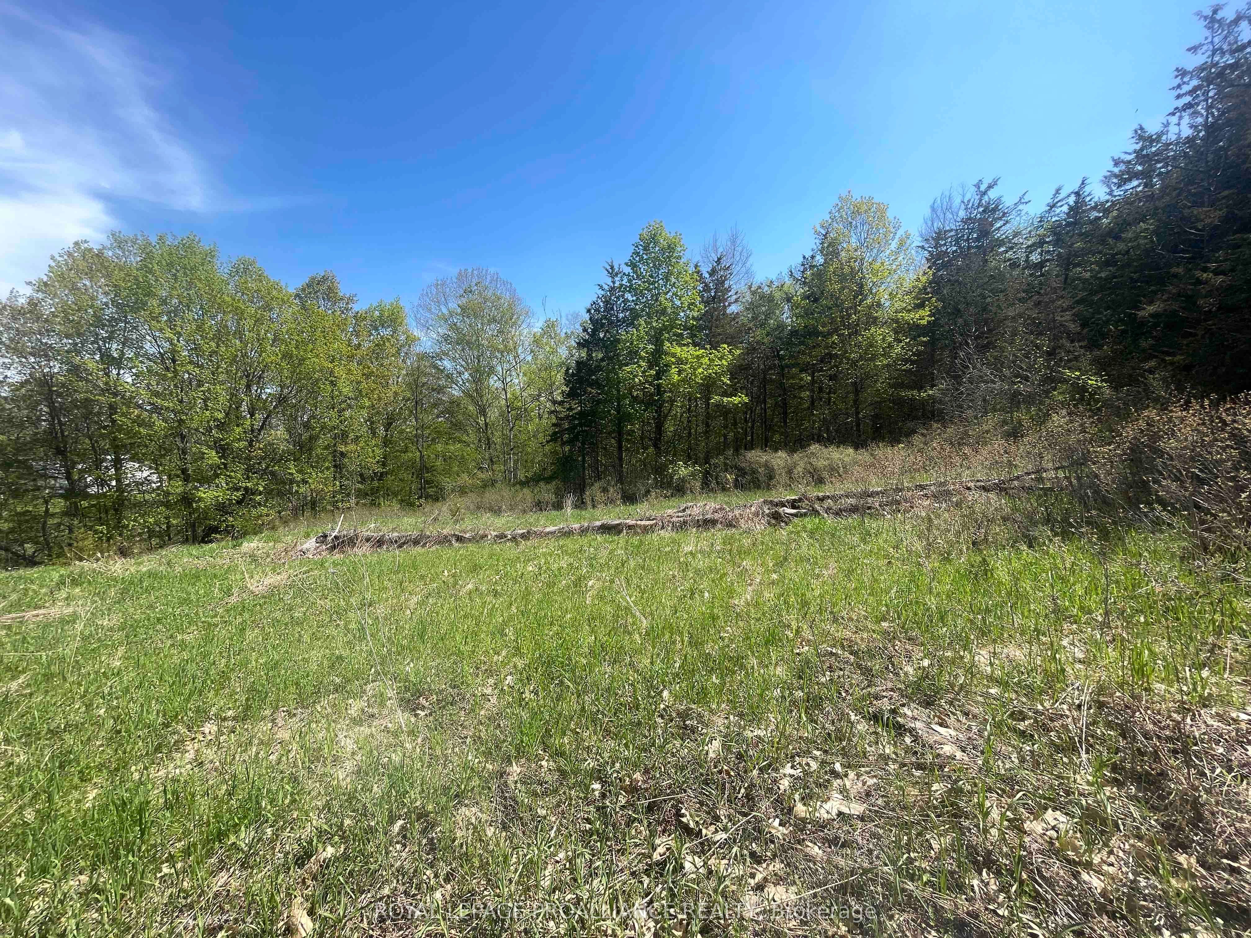 430 Beaver Road Property Photo 11