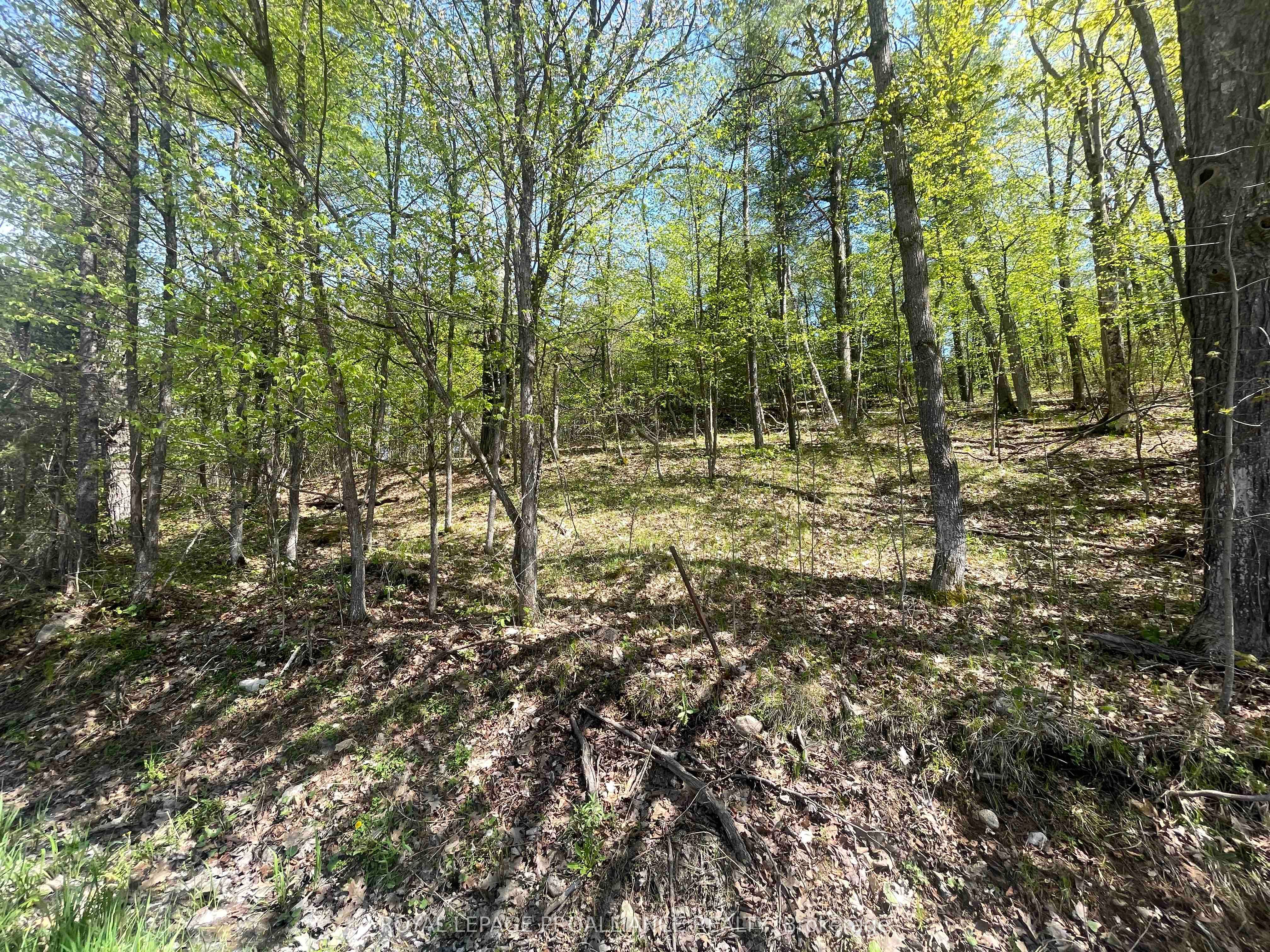 430 Beaver Road Property Photo 13