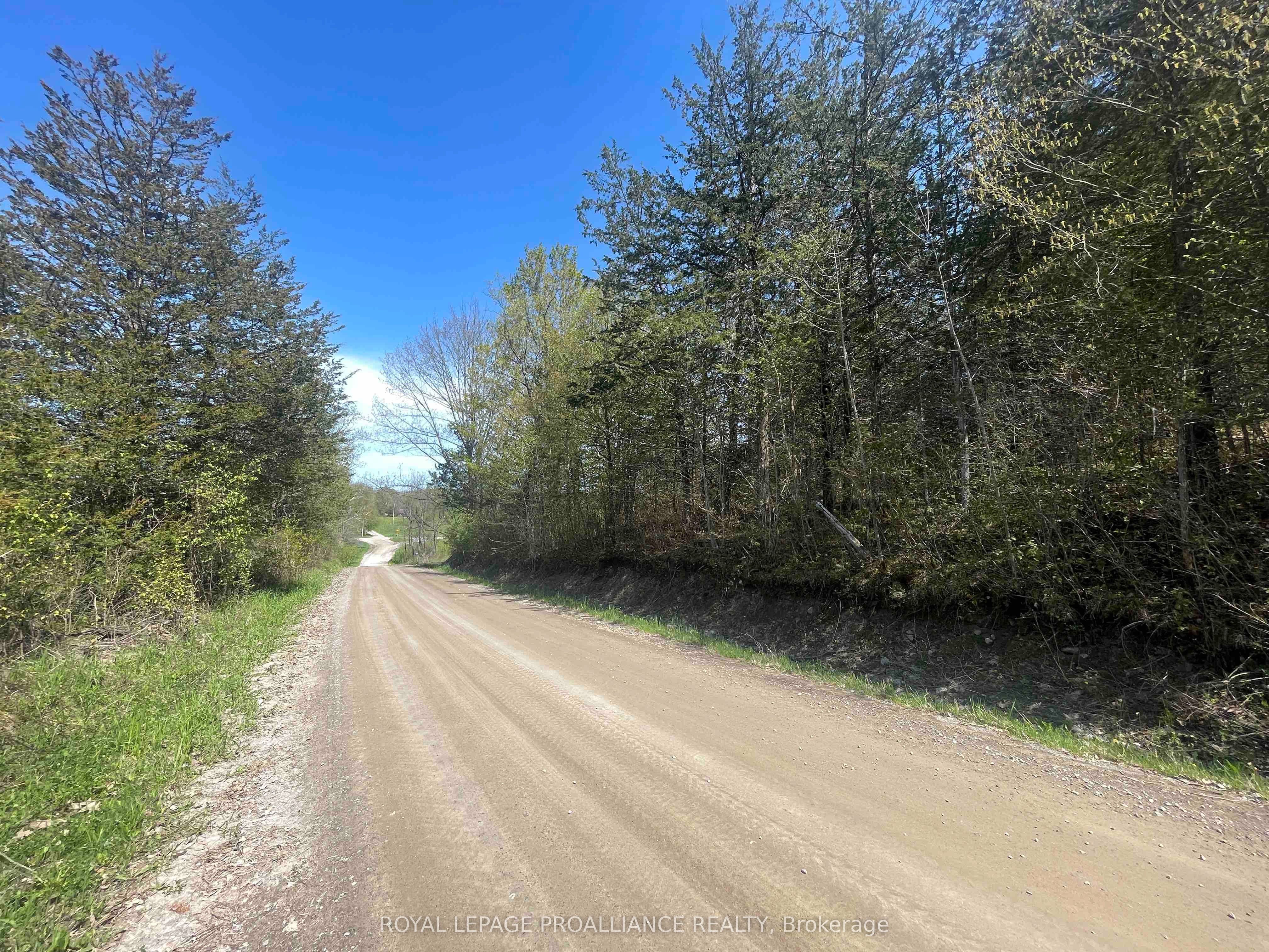 430 Beaver Road Property Photo 14