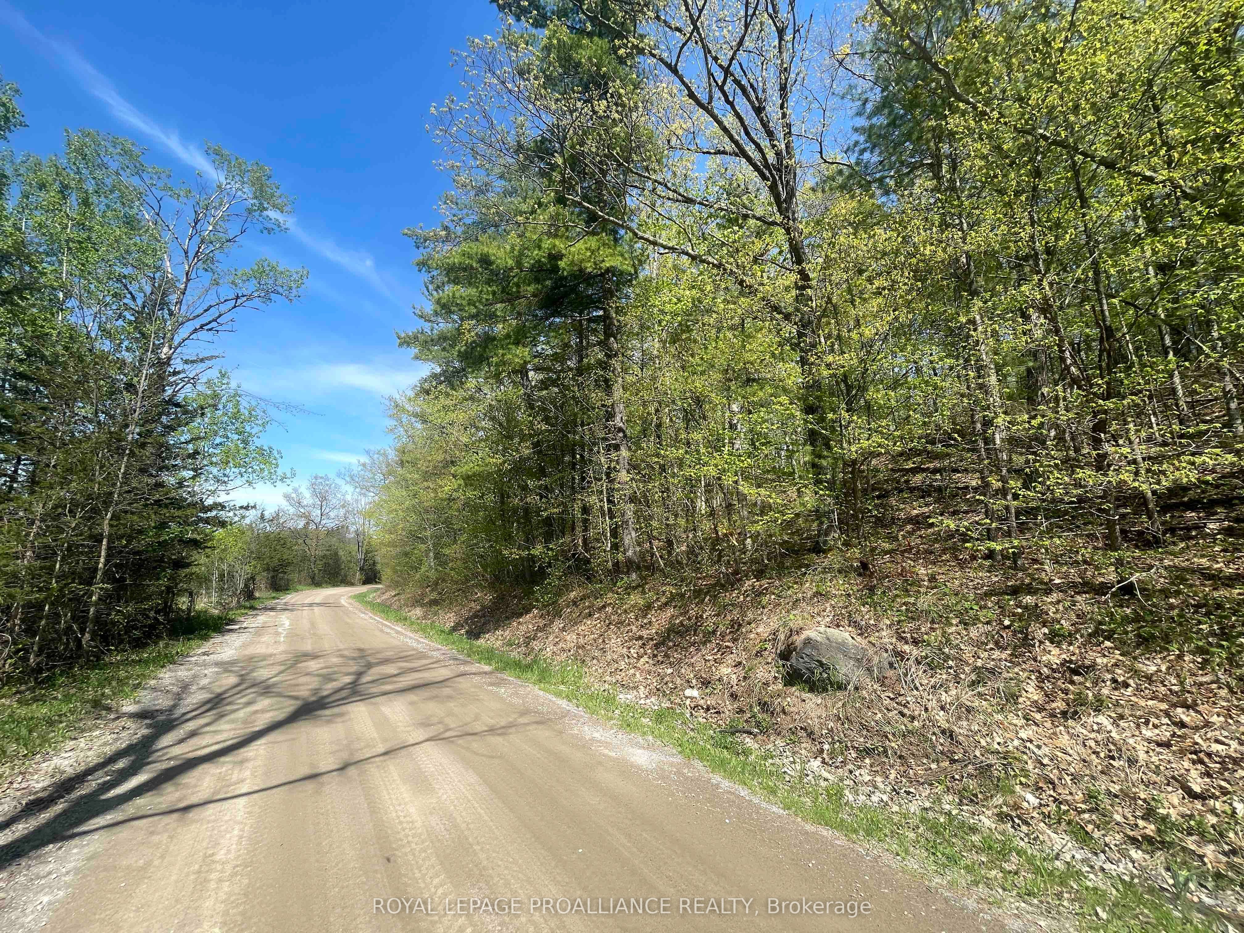 430 Beaver Road Property Photo 19