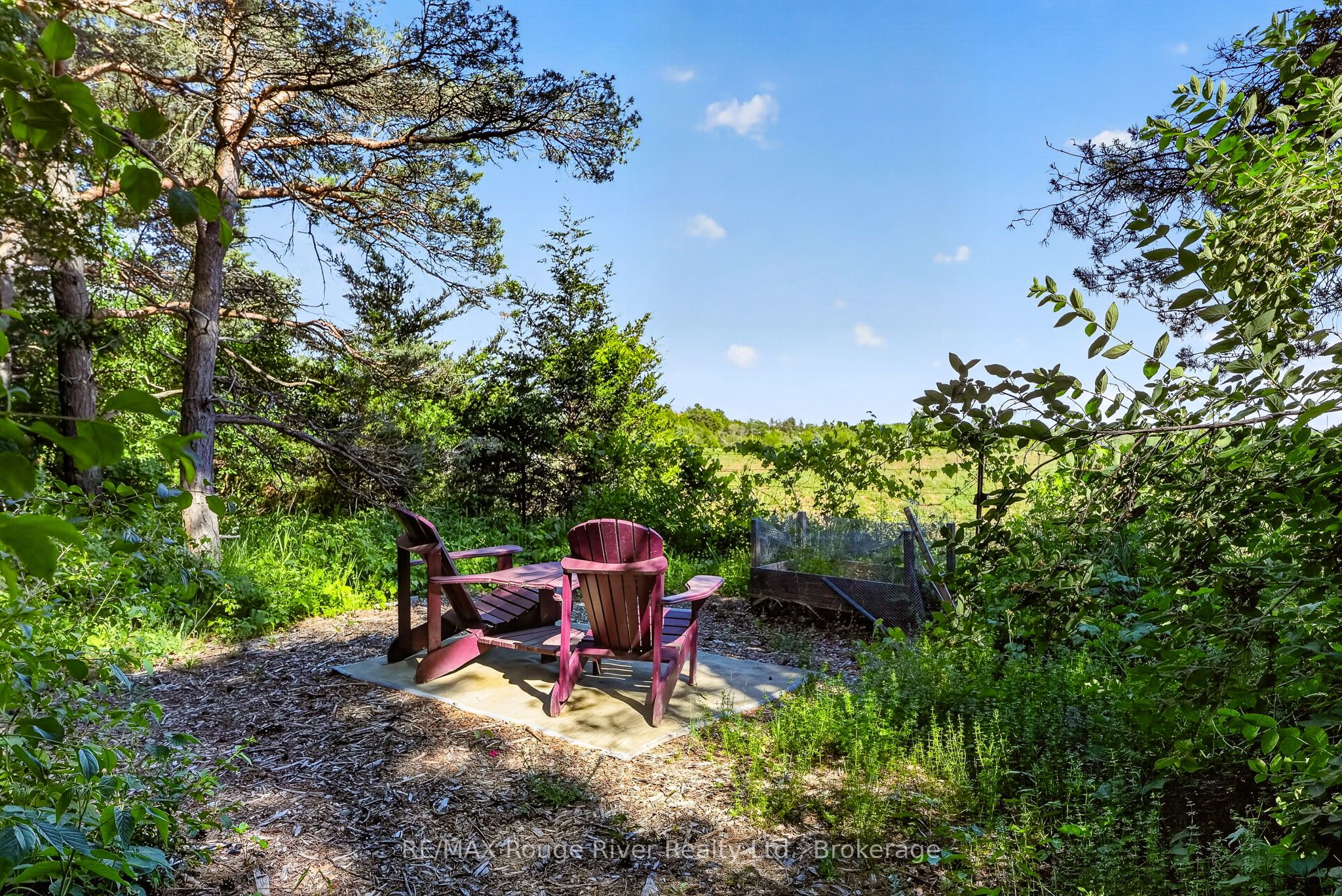 149 Pine Tree Lane Property Photo 33