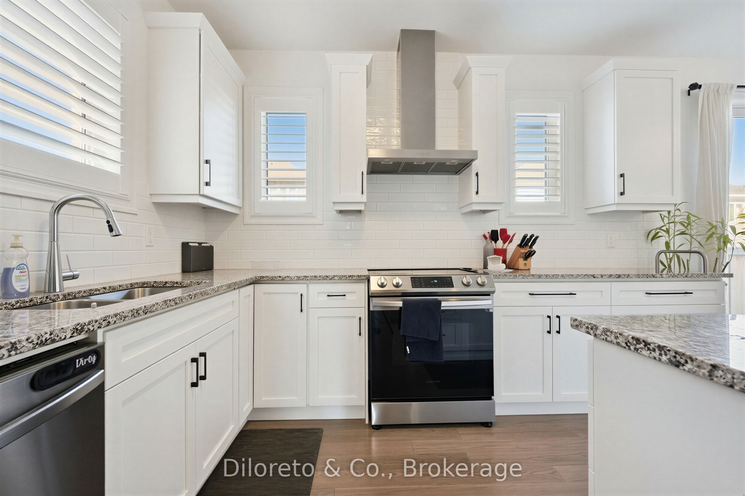 23 Saxony Street Property Photo 7