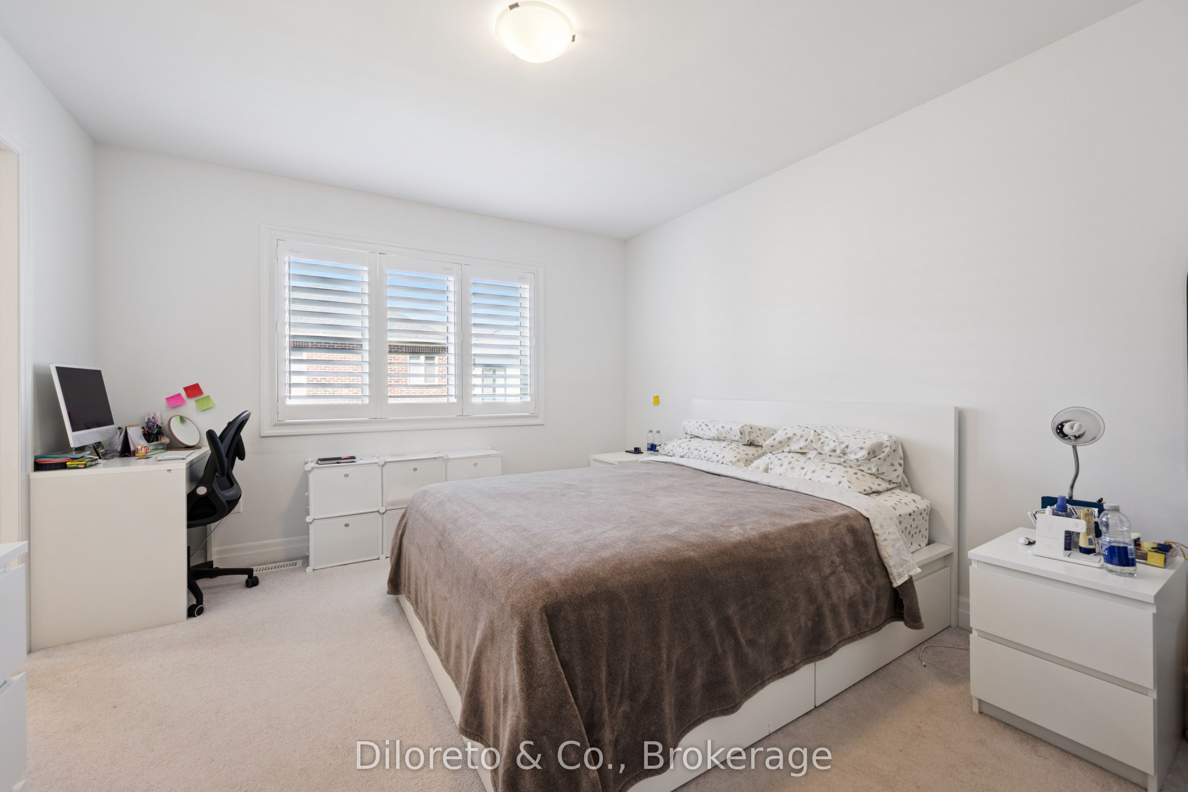 23 Saxony Street Property Photo 18