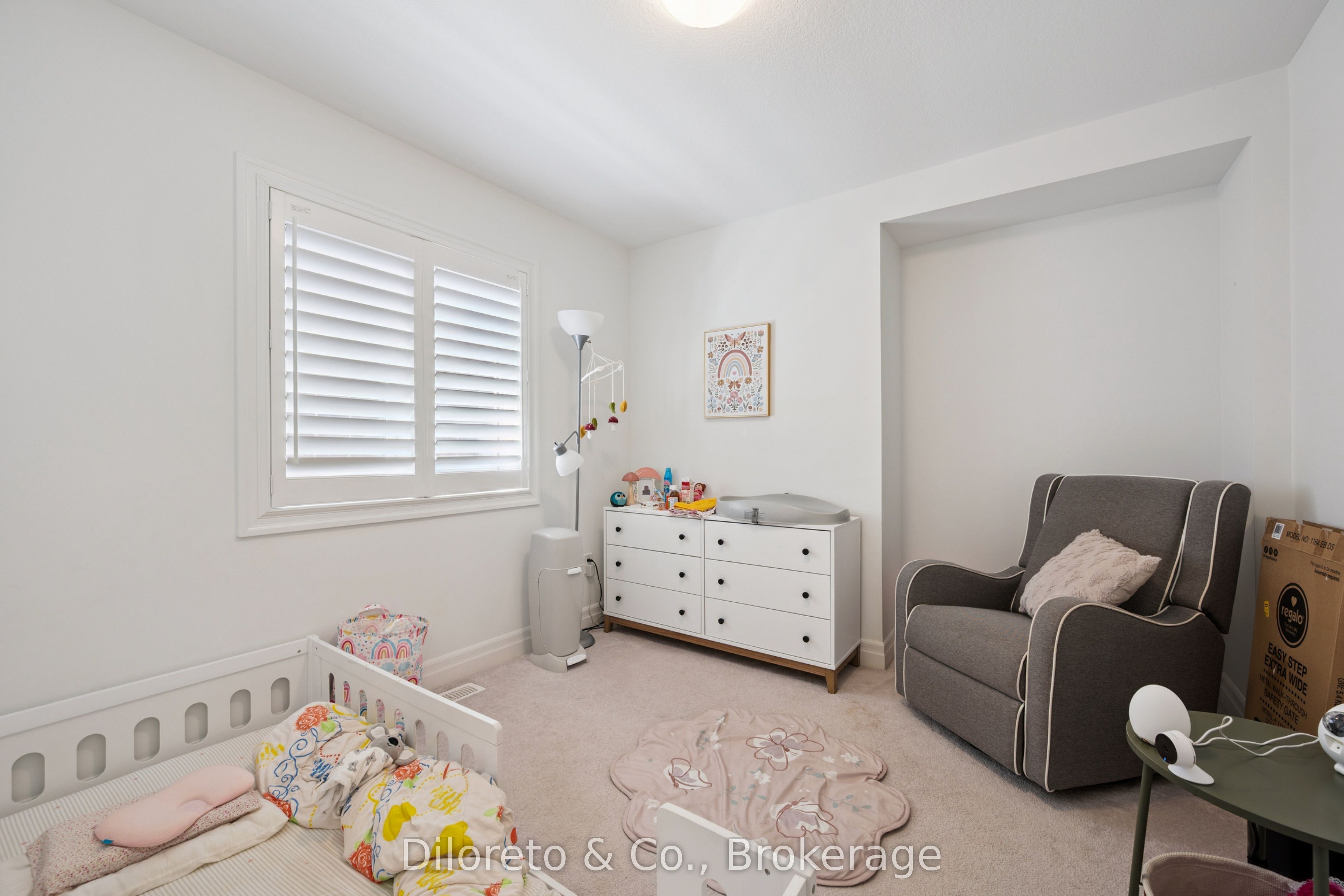 23 Saxony Street Property Photo 22