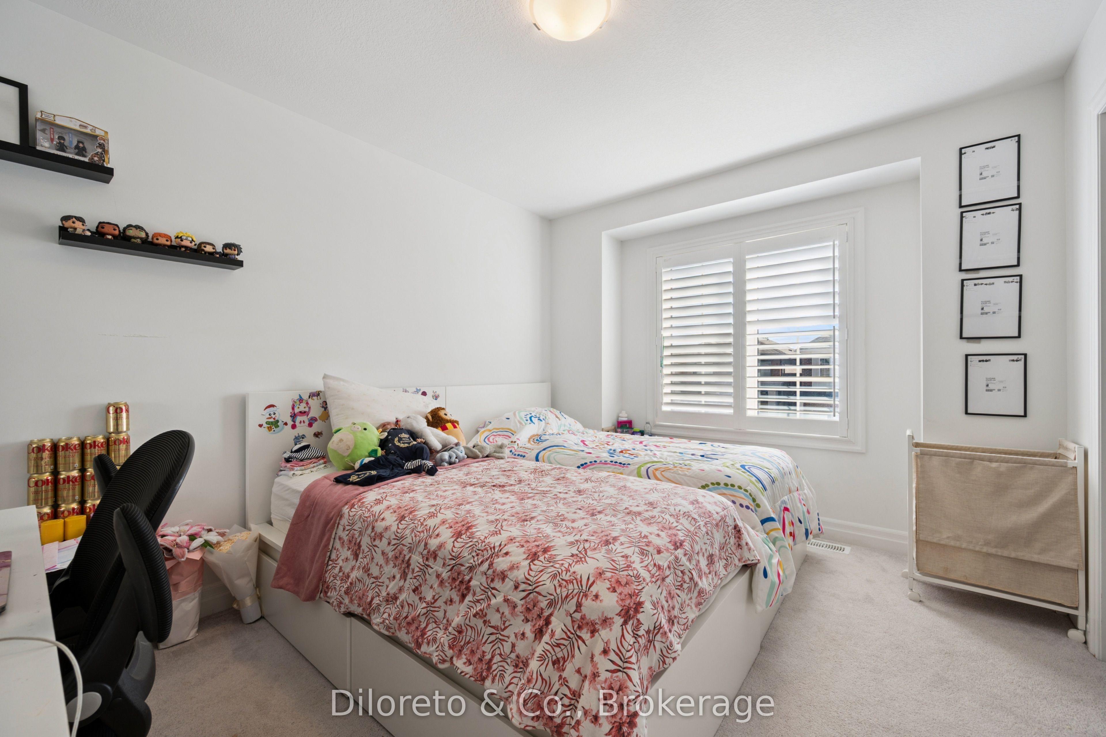 23 Saxony Street Property Photo 27